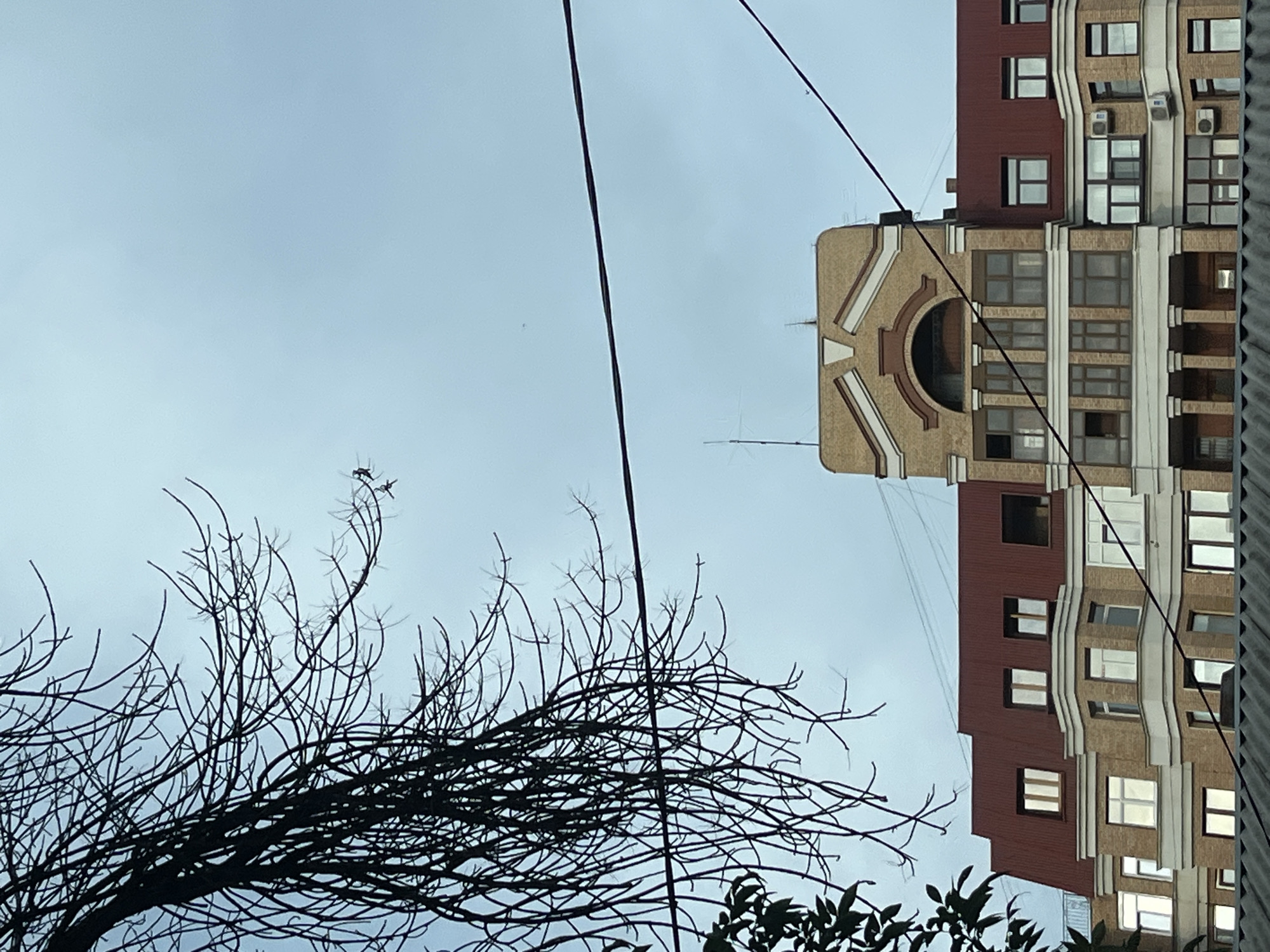 The image depicts a view of buildings and a bare tree against a cloudy sky. In the foreground, the silhouette of a leafless tree dominates the left side of the frame, its branches reaching out towards the sky. A dark power line stretches horizontally across the upper portion of the image.
In the mid-ground, a multi-story building with a distinctive architectural style is visible. The building has a brick facade, with a prominent section featuring a large arched window on the upper level, flanked by columns. The roof is a deep red color. Windows of various sizes and configurations are visible on the building's facade. Another section of the building to the right also has a red roof and brickwork.
The background consists of a pale, overcast sky.
While the image is rich in visual details of the urban environment, it does not provide any specific indicators to pinpoint its location within Novokuybyshevsk, Russia. There are no visible signs, landmarks, or distinguishing features that would allow for a precise geographical identification of the scene. The image captures a common urban vista, and as such, it could represent numerous locations within any city.