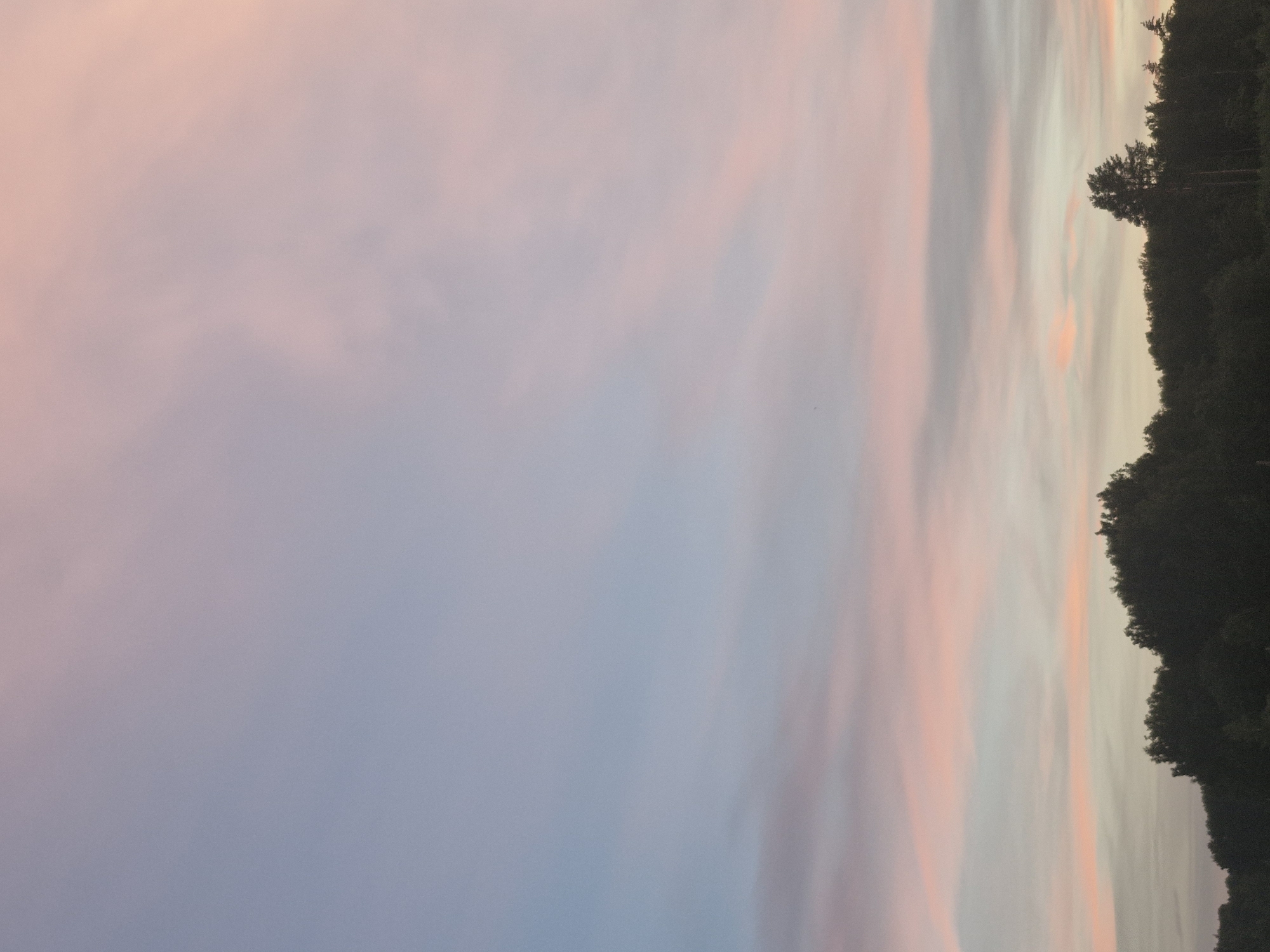 A landscape photograph captures a pastel-colored sky at dusk or dawn, featuring streaks of soft pink, lavender, and pale blue clouds. The horizon is lined with a dark silhouette of a dense forest. The overall impression is one of serene, natural beauty.