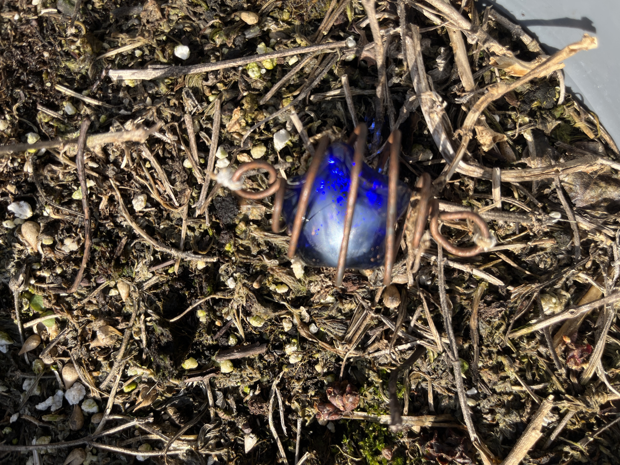 A top-down, medium shot shows a blue glass object held within a copper wire structure, resting on a bed of dried plant debris. The debris appears to consist of small twigs, dried leaves, and other decaying organic matter. The location, while not identifiable through visual cues, is specified as Naperville, United States of America. No people or interactions are visible in the frame.