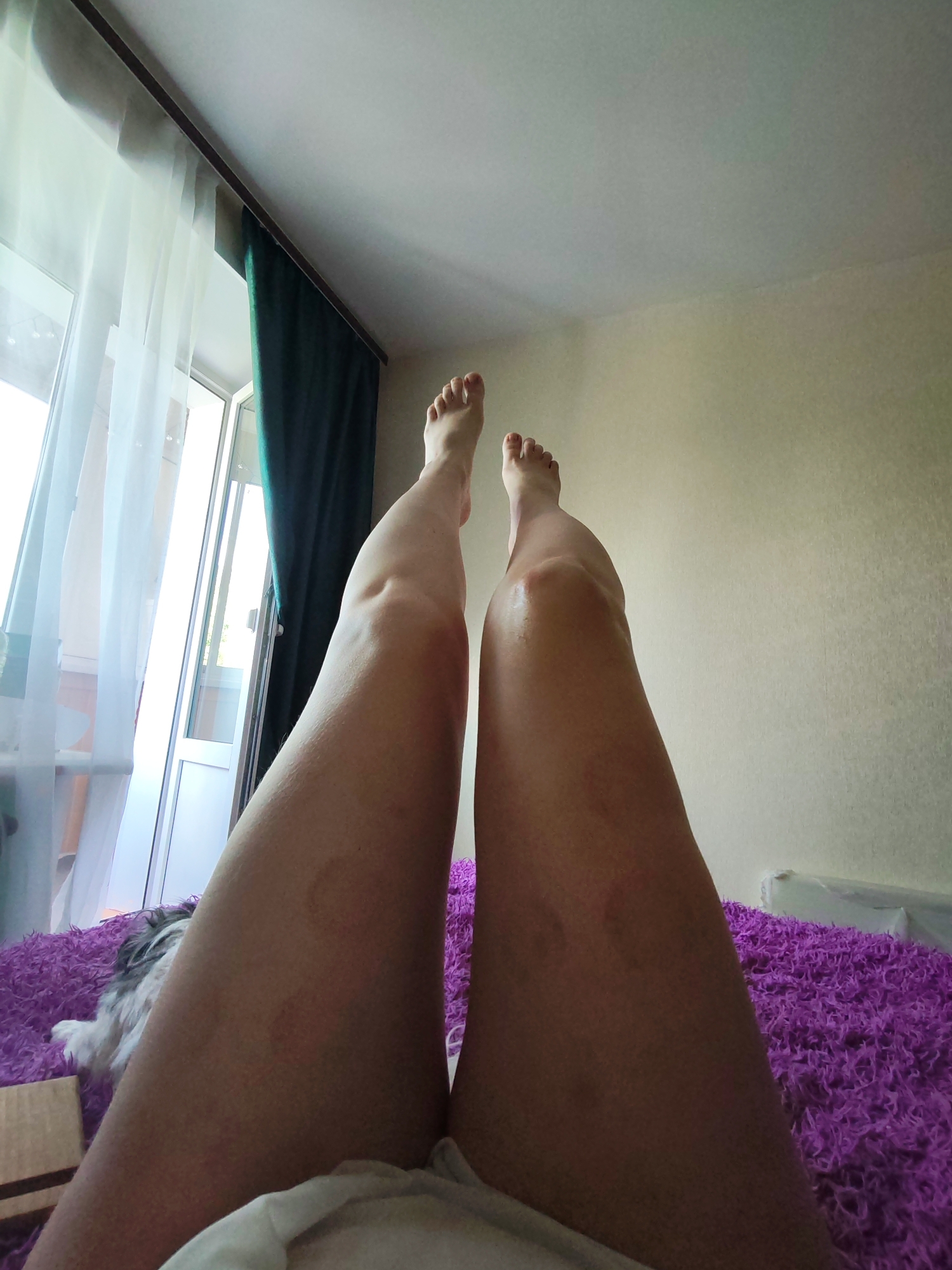 The image presents a low-angle view of a person lying in bed with their legs extended towards the camera. Visible are the person's legs, feet, and part of their torso. The bed is covered with a purple, textured blanket. In the background, there's a window with sheer white curtains and a partially visible dark green curtain. Outside the window, a balcony or a glimpse of the exterior is seen. A dog is also visible on the bed. The location of Izhevsk, Russia is not ascertainable from the given image.