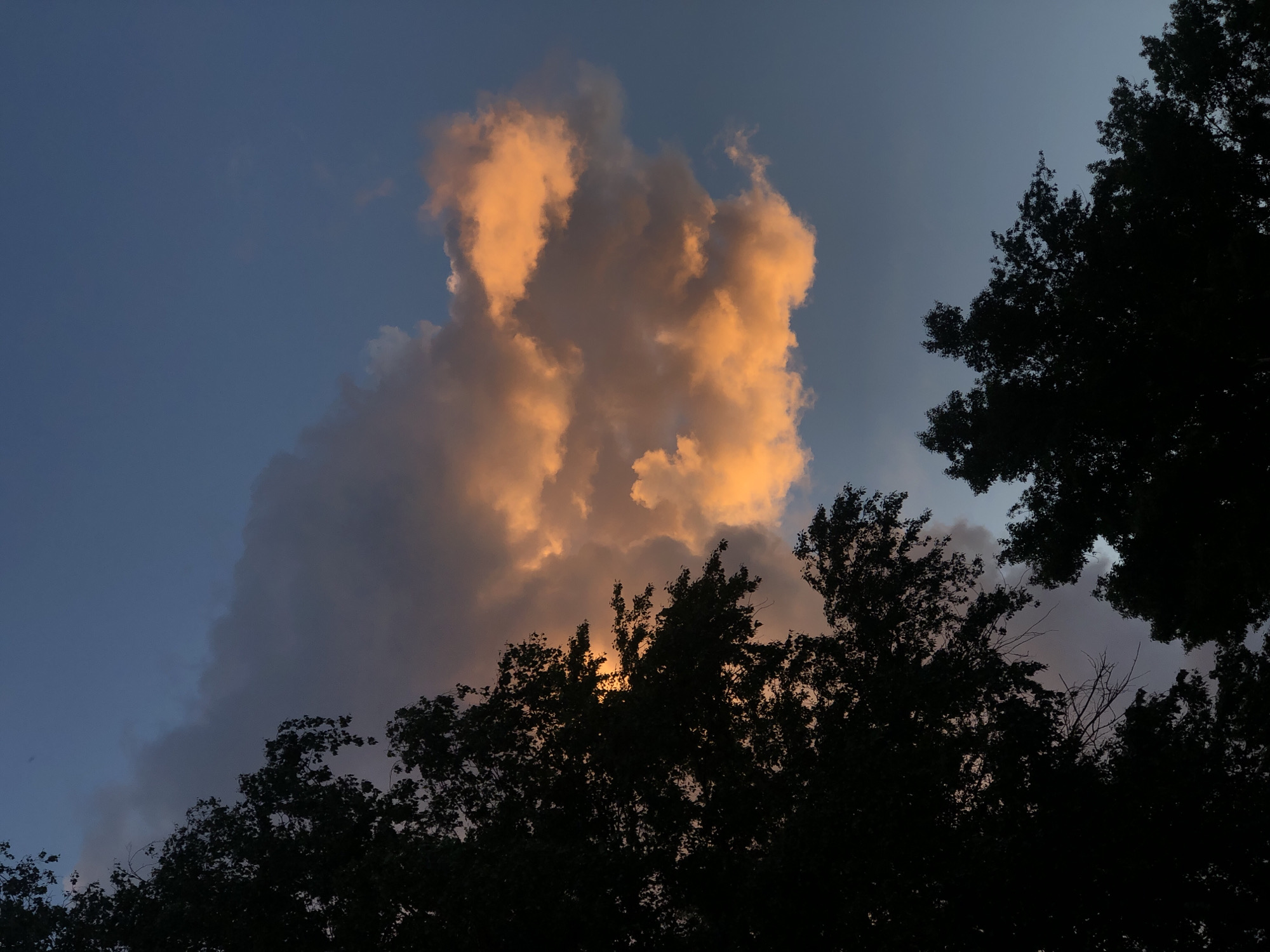The image depicts a twilight scene in Chaikovsky, Russia. Dominating the center and upper left is a large cumulus cloud, illuminated with orange hues, likely from the setting sun. The sky ranges from a deep blue to a lighter shade near the horizon. Silhouetted in the foreground are the dark shapes of trees, their branches and leaves obscuring part of the cloud and the lower portion of the sky. There are no people visible. The interaction is between the cloud and the fading sunlight.