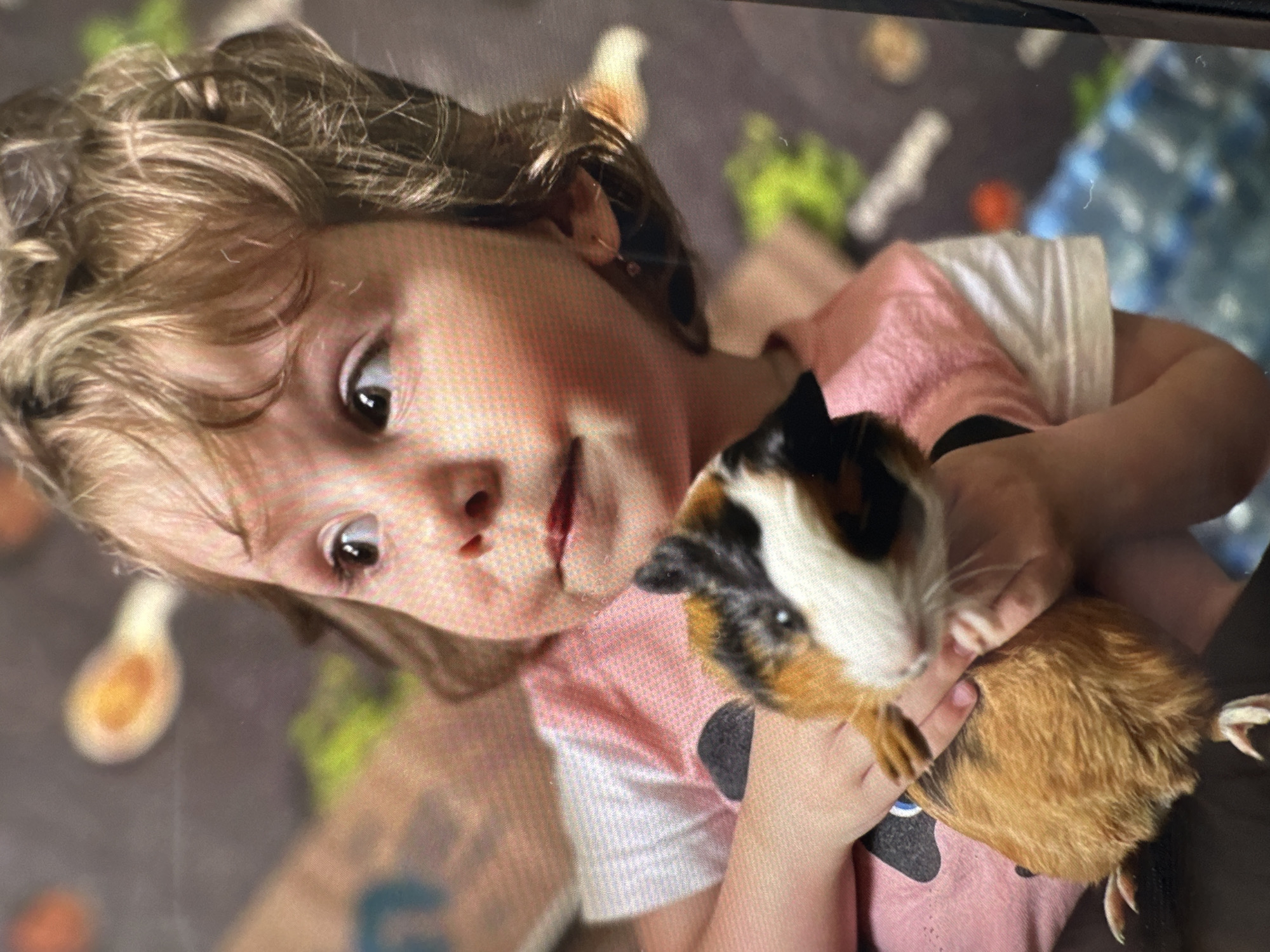 This media file features a young child holding a guinea pig indoors. The primary subject is a child, likely a girl, with light brown, curly hair and dark, expressive eyes. She wears a pink t-shirt with white accents and a dark design. Her expression is a gentle, curious gaze towards the viewer, accompanied by a slight smirk.
She is seen cradling a tri-color guinea pig, which exhibits patches of white fur on its face and black, along with reddish-brown or orange fur, on its body. The child's hands are supporting the guinea pig, suggesting a calm and secure interaction.
The background is intentionally blurred, revealing abstract shapes and muted colors such as green, orange, and blue, possibly indicating a playmat or patterned floor covering. The overall lighting suggests an indoor setting during daylight hours. There are no overt location cues within the image itself. No text is visible. The given location context for this media is Веревское, Russia.