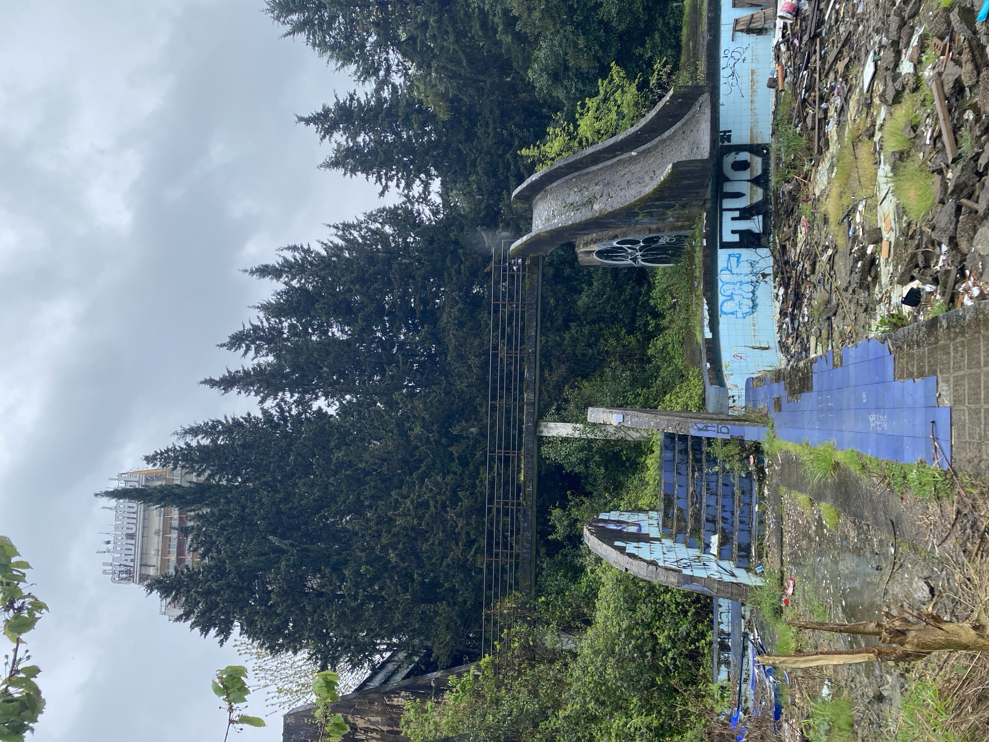 The image captures a desolate and overgrown outdoor area, identified as part of a derelict complex in Sochi, Russia. The primary subject is a large, grey, concrete water slide or similar structure, which is now covered in moss and graffiti. This structure curves downwards, leading towards what were once bright blue-tiled pools or splash zones. These areas are now cracked, broken, and heavily contaminated with debris, including rubble, plastic waste, and rampant weeds and grass.
A rusty metal framework, possibly remnants of a walkway or another part of the attraction, spans horizontally across the mid-ground. Dense, dark green coniferous trees, resembling cypresses or pines, dominate the background and mid-ground, giving way to lighter green foliage in the foreground, suggesting significant overgrowth. In the distance on the far left, partially obscured by trees, stands a tall, multi-story building, likely an old hotel or resort, with a large, partially visible sign on its roof featuring white letters on a red background. The sky is uniformly overcast and grey, indicating a cloudy daytime.
No people or activities are visible, emphasizing the abandoned nature of the site. The scene is characterized by decay, neglect, and nature reclaiming the man-made structures. Visible text includes large black graffiti spelling "TUO" on the slide wall, and other blue graffiti tags below it. The distant building's sign is indistinct but appears to have letters like "G", "R", "N", "D".