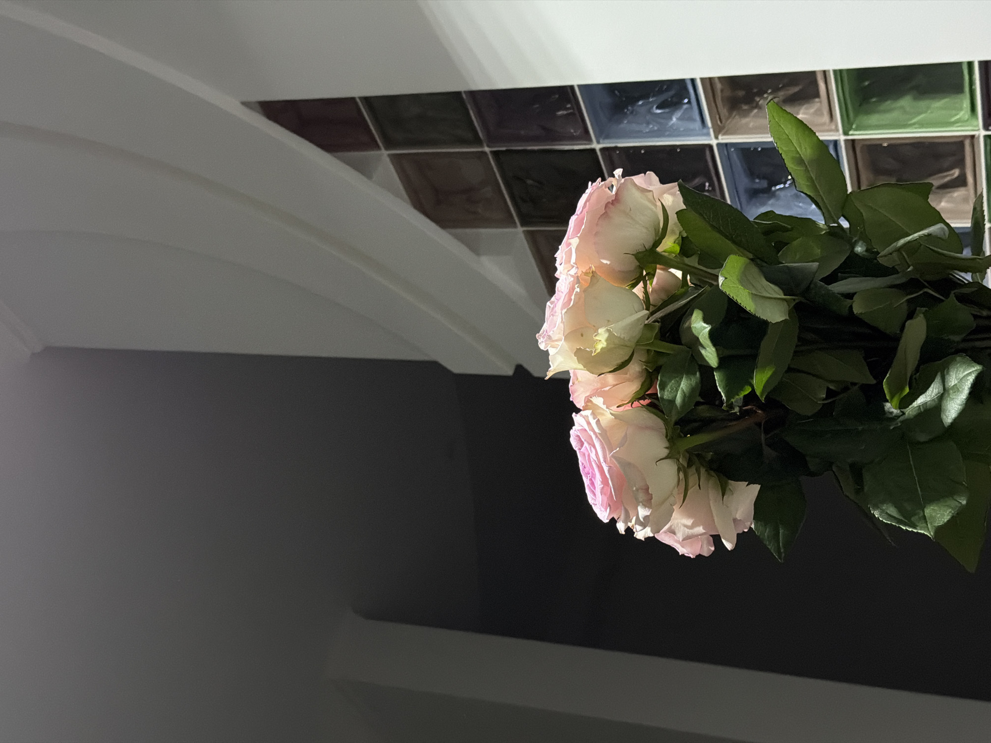The image depicts a bouquet of pale pink and white roses with green leaves, positioned in the foreground against a backdrop that transitions from dark, shadowy areas on the left to a brightly lit section on the right featuring a tiled wall. The roses appear to be arranged in a vase, though the vase itself is not visible. The lighting suggests an indoor setting, possibly near a window or under artificial light. The tiled wall behind the roses is composed of square tiles in various muted colors, including blues, purples, greens, and browns, with a textured, possibly glass-like surface that reflects light. The overall composition is vertical, with the roses occupying the lower portion of the frame. There are no people or animals visible in the image. The scene is static and lacks any discernible action. The location of Khmelnytskyi, Ukraine is not indicated by any visual cues in the image.