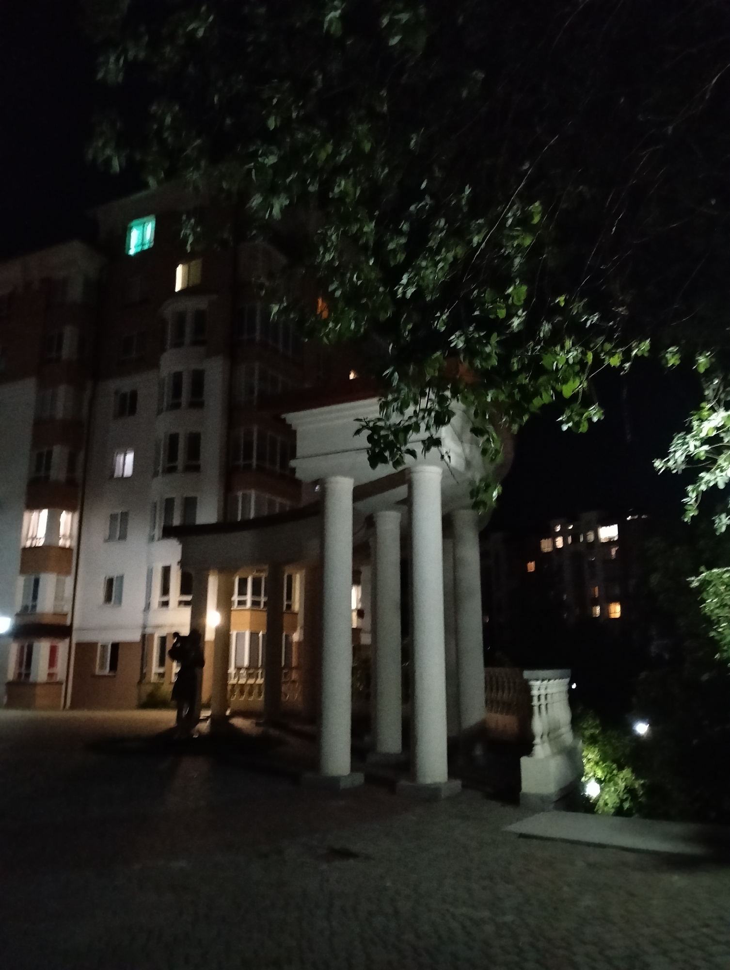 The image, taken at night, shows a building with white columns and a portico in Krykhivtsi, Ukraine. A tree with green foliage is in the foreground, partially obscuring the building. The building itself appears to be multi-story, with lighted windows. Another building is visible in the distance, also with lit windows. A person is visible near the columns. The ground is paved with cobblestones.
