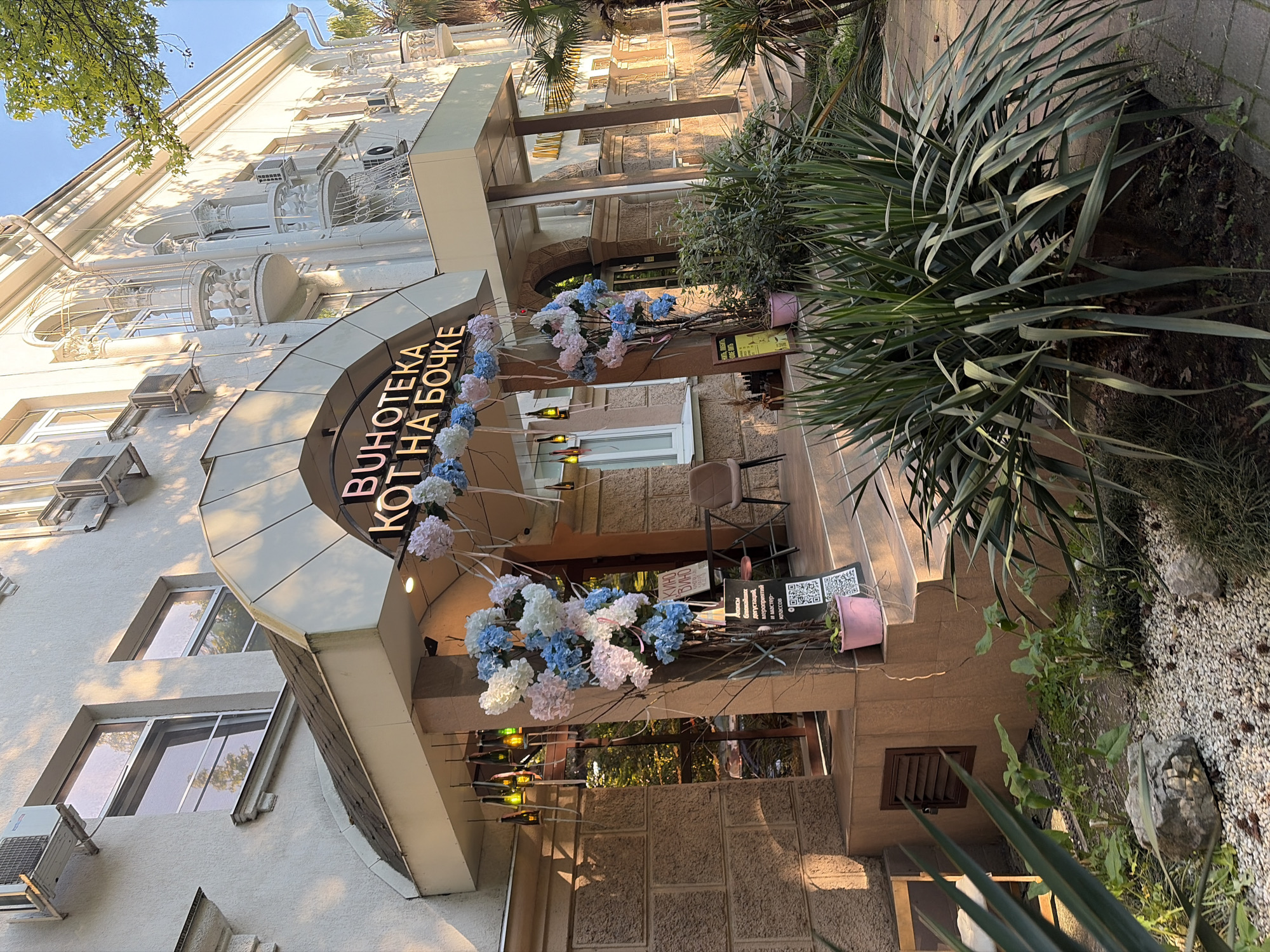 This detailed image displays the sunlit entrance of a commercial building, specifically a wine shop, located in the city of Sochi, Russia. The establishment is identified by a prominent sign in Cyrillic, "ВИНОТЕКА КОТ НА БОЧКЕ," which translates to "Wine Shop Cat on a Barrel."
The entrance features an arched canopy extending over a glass door, framed by textured brown stone cladding. Hanging from the canopy are decorative lights made from repurposed wine bottles. The entrance area is festively adorned with artificial flower clusters in shades of pink, light blue, and white, interwoven with ribbons and branches. On the tiled steps leading up to the entrance, a small brown metal table and one matching chair are visible to the right, with another chair partially seen on the left. An A-frame sign displaying a QR code and Cyrillic text, including phrases like "АКЦИИ," "дегустаций," "мероприятий," and "мастер-классов" (promotions, tastings, events, master classes), stands on the steps. A smaller yellow sign is also present nearby.
The building itself is light-colored with a stucco facade. The upper floors to the right of the entrance exhibit ornate classical architectural details, including decorative balustrades, columns, and balconies. Multiple white air conditioning units are mounted on the facade at various levels. Rectangular windows on the upper floors reflect the surroundings.
The foreground is characterized by lush subtropical vegetation, including several large yucca-like plants with long, spiky leaves. A landscaped area to the left features white gravel, scattered stones, and pine cones. A paved sidewalk made of interlocking pavers runs along the right side of the image. In the midground and background, palm trees and other dense greenery are visible. The scene is brightly illuminated by direct sunlight, casting long, distinct shadows across the building and the ground, under a clear blue sky. No individuals are present in the image.
