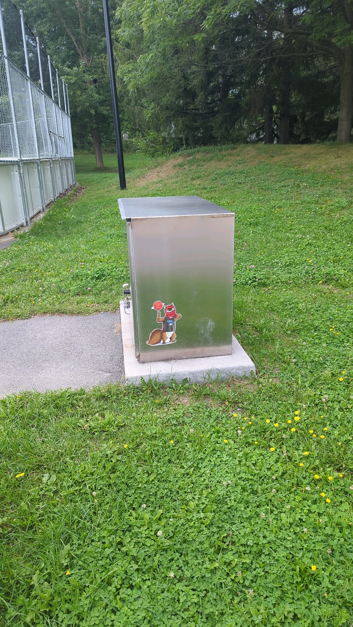 A sticker of a cartoon raccoon wearing a basketball jersey and scarf, holding a basketball, is affixed to the front of a silver metal utility box. The utility box is situated on a concrete pad in a grassy area next to a paved pathway. In the background, a chain-link fence is visible, bordering a wooded area with trees. The scene appears to be an outdoor public space, possibly a park or recreational area, in Montreal, Canada.