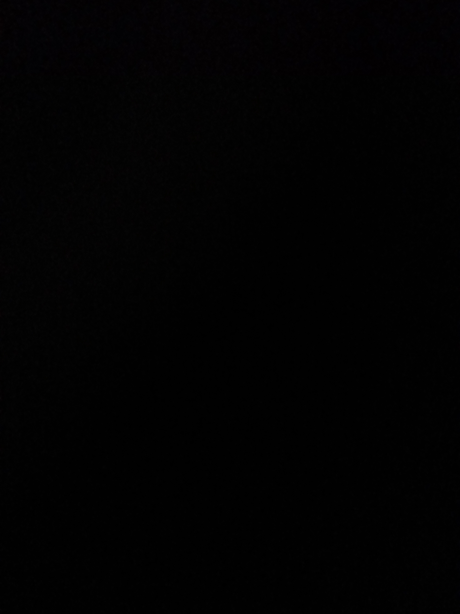 This is a black image. No subjects, objects, scene, setting, activity, or event can be discerned. There are no notable details, no visible text, and no location context can be determined.
