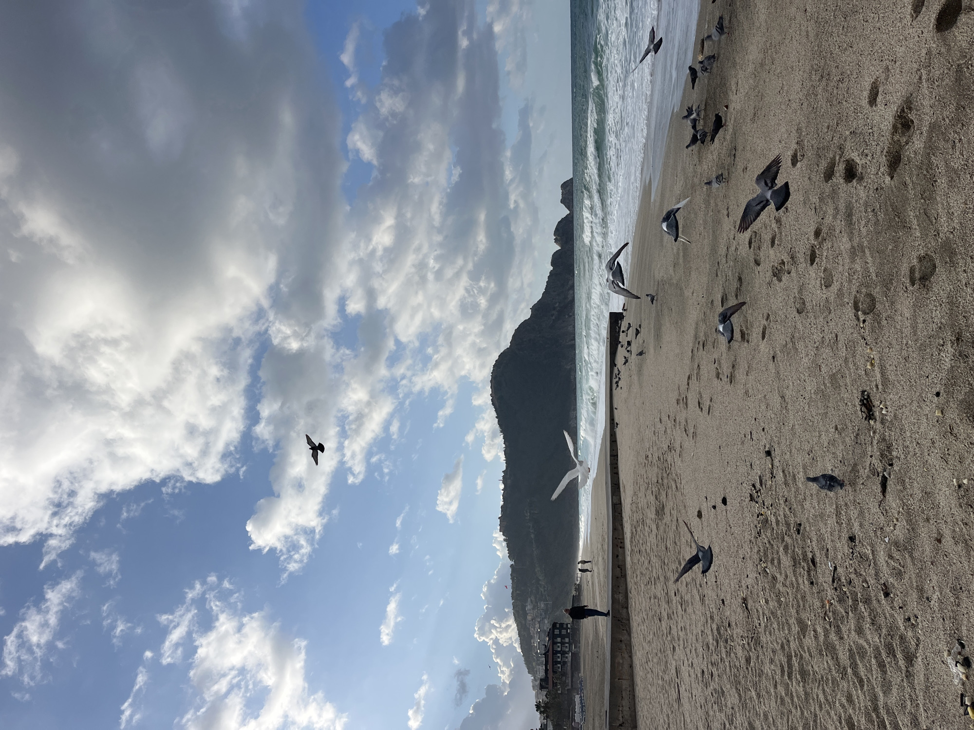 The image shows a beach scene in Alanya, Turkey. The viewpoint is from the beach, looking towards the sea and a prominent mountain. The sky is cloudy with patches of blue. The beach is sandy, with numerous footprints visible. A flock of birds, including pigeons and seagulls, are scattered across the beach, some in flight. The sea has moderate waves. At the base of the mountain is a built-up area with buildings visible.