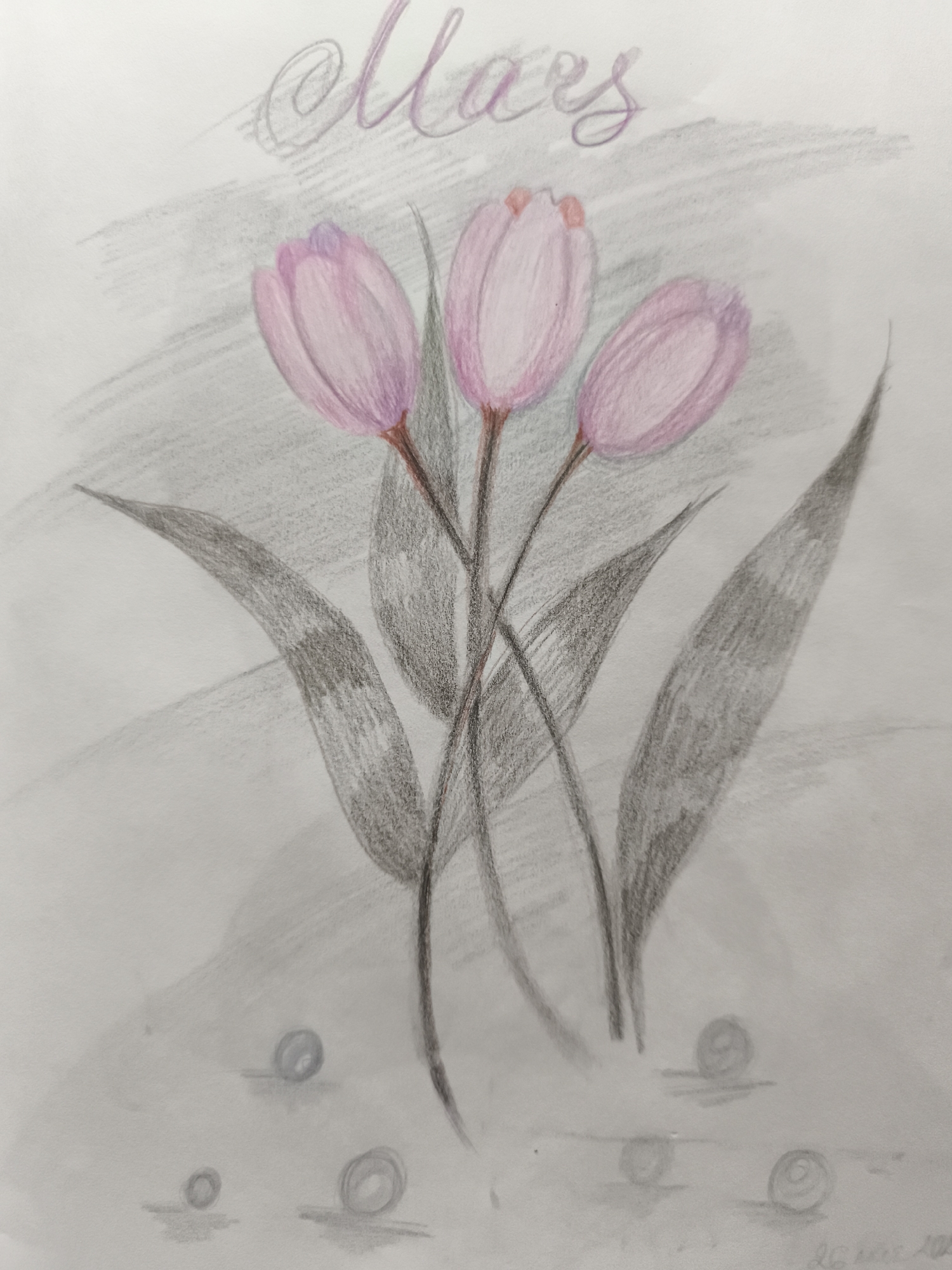 This is a pencil and colored pencil drawing of three pink tulips with dark gray leaves against a light gray background. The tulips are the central focus, with delicate shading and hints of red at the tips of the petals. The leaves are depicted with strong graphite strokes, creating a stark contrast with the softness of the flowers. At the bottom of the drawing, there are small circular shapes, possibly representing dewdrops or pebbles, with subtle shadows cast beneath them. In the upper right corner, the word "Mars" is written in cursive, with the letters colored in a light purple hue. The overall style is illustrative and somewhat abstract, with a soft, atmospheric quality. There are no people or any identifiable landmarks that would indicate a specific location in Saint-Denis, France.