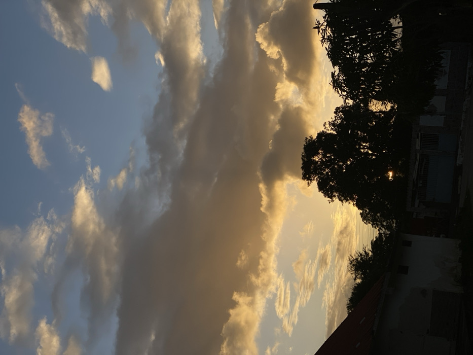 A scenic image portrays a vibrant sky filled with billowing clouds illuminated by the warm tones of a setting sun. A few trees and some buildings are silhouetted against the light. The sky is a mix of blue and golden hues as the sunlight interacts with the clouds. The light seems to be filtered, creating a soft glow around the edges.