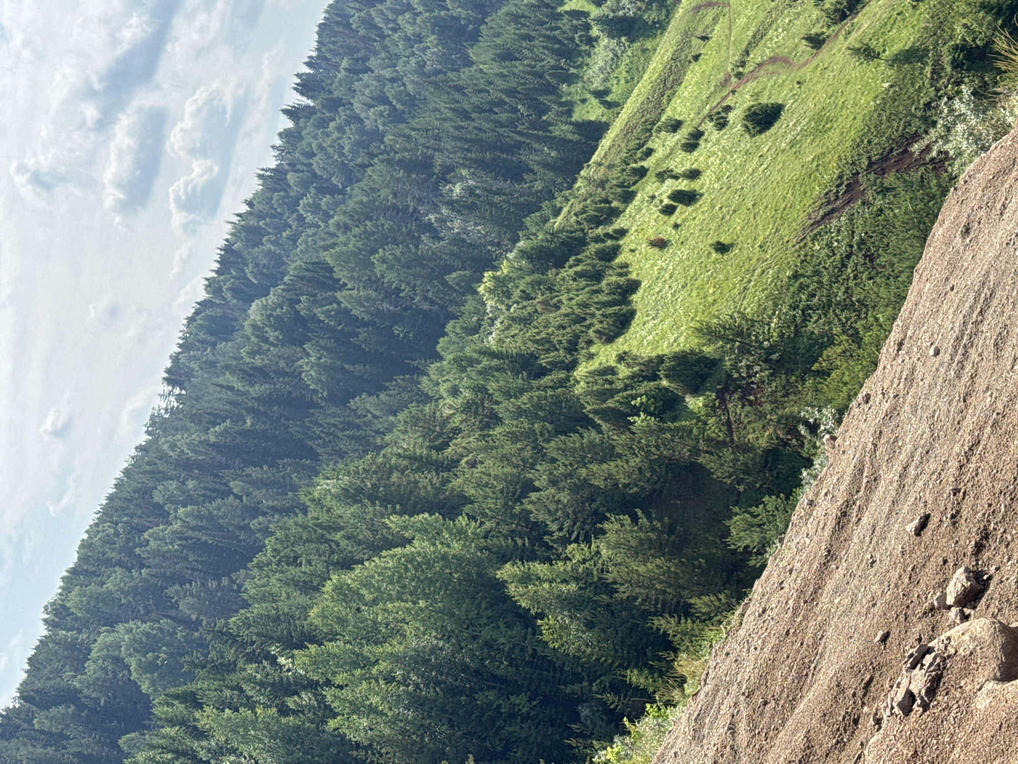 The image depicts a steep, forested mountainside. The foreground is dominated by a barren, rocky slope with loose stones and soil. In the midground, the terrain transitions to a vibrant green, grassy hillside dotted with scattered, low-lying evergreen bushes. A winding dirt path is visible on this grassy slope. The background features a dense, dark green forest of coniferous trees covering the upper reaches of the mountain. The sky above is partly cloudy with white, fluffy clouds against a pale blue backdrop. The scene appears to be a natural, outdoor environment, likely a mountainside or hillside in a rural or natural setting. There are no people or man-made structures visible in the image. The location is identified as Olkhovka, Russia.