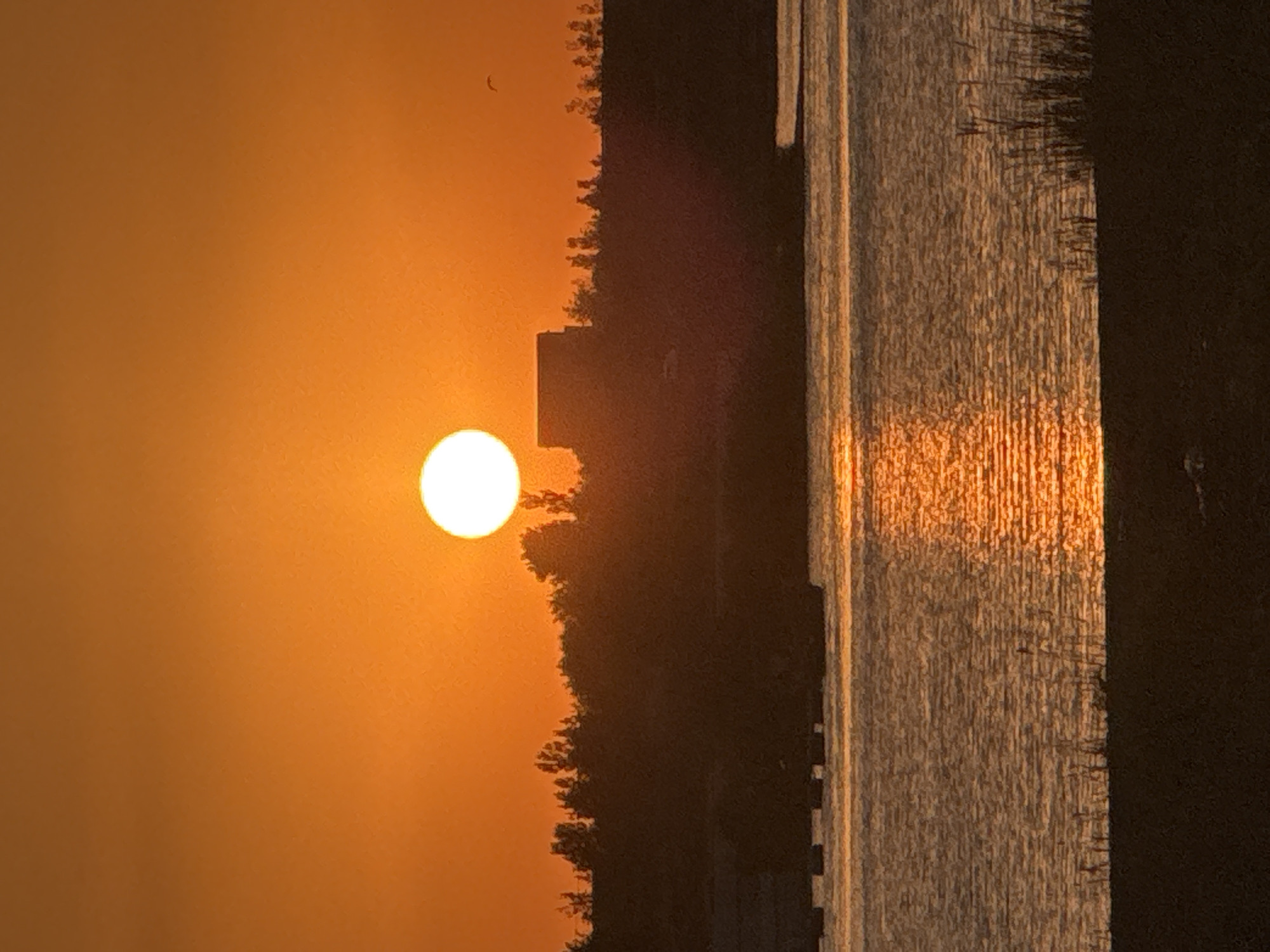 A vertical, close-up, high-angle shot captures a sunset over the city of Ақши, Kazakhstan. The sun, a bright white orb, is centered in the frame, casting a warm orange glow across the sky. Silhouetted against the vibrant sky is a dense line of trees, with a rectangular building visible behind them, possibly a structure or a historical monument. In the foreground, a body of water reflects the sunset's light, creating a shimmering path of orange. The water's surface is textured with ripples, suggesting a gentle breeze. The far bank of the water is lined with dark, shadowy vegetation, and in the very bottom of the frame, a dark grassy embankment.