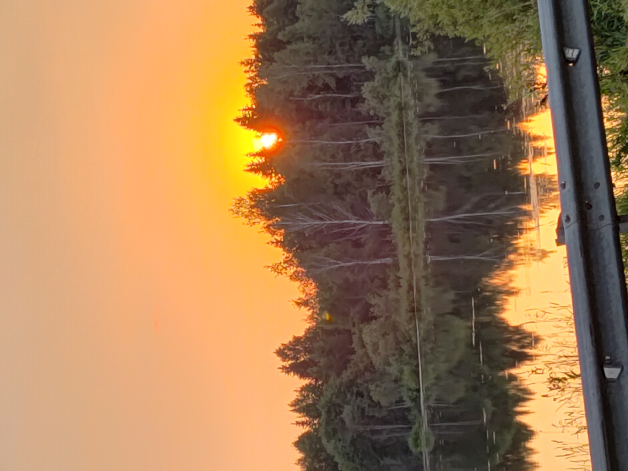 This is a vertical, medium shot of a sunset over a body of water lined with trees. The sun is a bright orange orb peeking through the top of a dense line of trees on the left side of the frame, casting a warm, orange glow across the sky. The trees, mostly deciduous with some evergreens, form a dark silhouette against the vibrant sky.
The water in front of the trees acts as a mirror, reflecting the trees and the sunset. The reflection is somewhat distorted, creating a blurred, impressionistic image. A metal pole, likely part of a railing or fence, is visible on the right side of the frame, also reflecting the sunset's colors. The pole is dark gray and appears to have some fixtures attached to it.
The overall mood is serene and peaceful, typical of a sunset scene. The time of day is clearly sunset due to the colors of the sky and the position of the sun. The setting appears to be a natural landscape, possibly a lake or riverbank, given the presence of water and abundant trees. There are no people visible in the image, and no text is present. The weather appears calm, as indicated by the clear reflection on the water. The location context provided places this scene in Votkinsk, Russia.