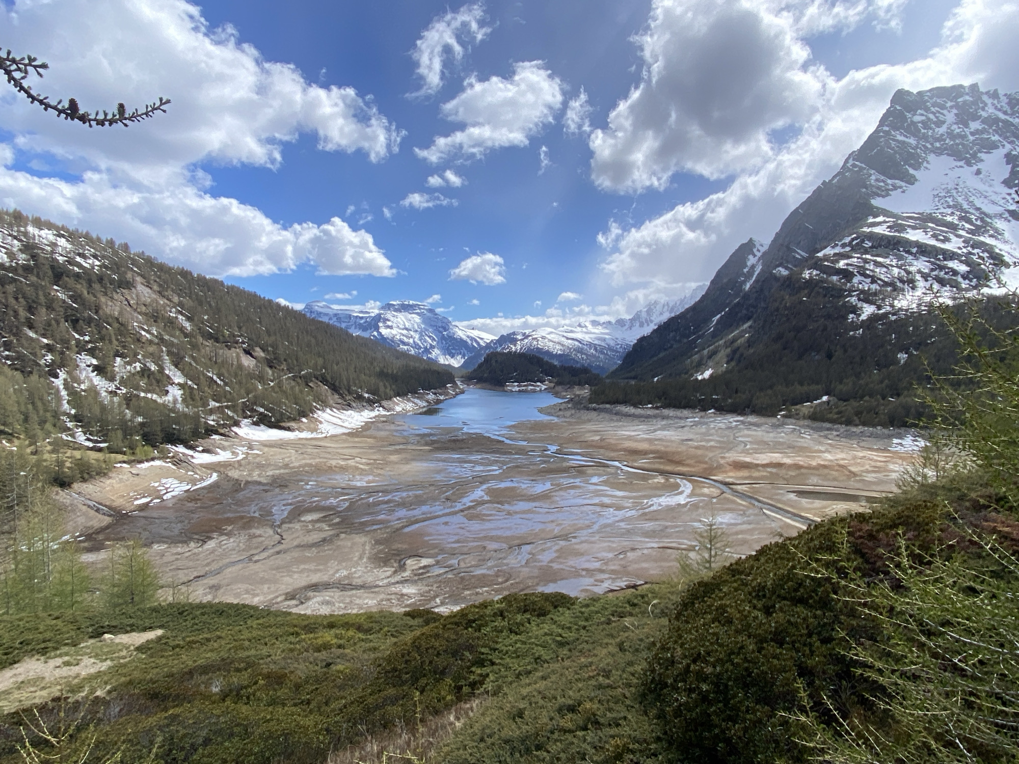The image captures a scenic view in Baceno, Italy. The foreground features green vegetation and trees, transitioning to a vast dry lake bed or reservoir with intricate patterns of sediment and water channels. In the distance, a body of water remains. Flanked on either side by mountains with patches of snow and sparse trees, the mountains in the background are snow-capped, set against a partly cloudy blue sky. A tree branch is visible in the upper left corner of the frame.