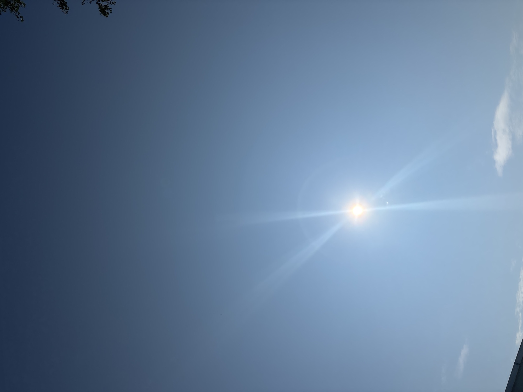 The image depicts a clear blue sky with the sun prominently featured, emitting bright rays. The sun is located slightly off-center towards the bottom of the frame, creating a lens flare effect. A few wispy clouds are visible in the lower portion of the sky. In the far upper right corner, a small section of a tree with green leaves is visible. Along the bottom edge, a dark structure, possibly a building's roofline, is partially visible. There is a small dark dot in the upper left quadrant, which might be a bird or an insect. The overall scene suggests a bright, sunny day in Chaikovsky, Russia, with a view looking upwards towards the sky.