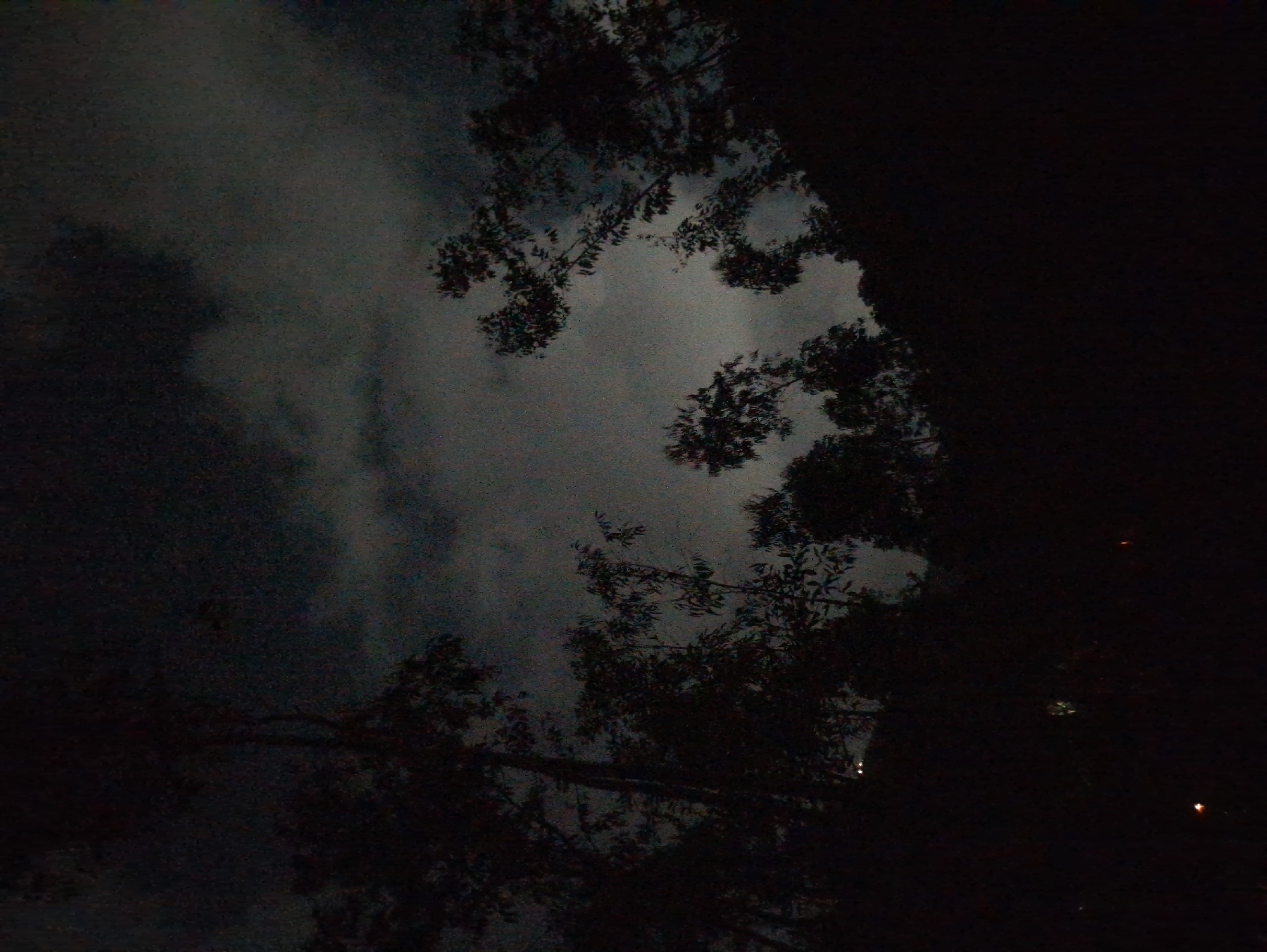 The image presents a dark, low-light scene, likely at night, situated in South Quy Nhon Ward, Vietnam. The upper portion of the frame is dominated by a heavily overcast sky with visible dark clouds. The lower two-thirds of the image are filled with the dense, dark silhouettes of numerous trees, indicating a heavily vegetated area, possibly a hillside or elevated terrain.
Multiple artificial light sources are visible against the dark landscape. A small, faint orange light source is present in the lower-left corner. Another similar faint orange light is situated in the bottom-center of the frame, slightly to the right. In the mid-ground, slightly left of the vertical center, a diffuse, whitish light source is discernible. Further up, on what appears to be a distant horizon line formed by the top of the dark tree mass, two distinct, small white lights are visible, positioned somewhat apart, consistent with distant vehicle headlights or streetlights on a higher elevation. No human figures or specific activities are observable within the frame.