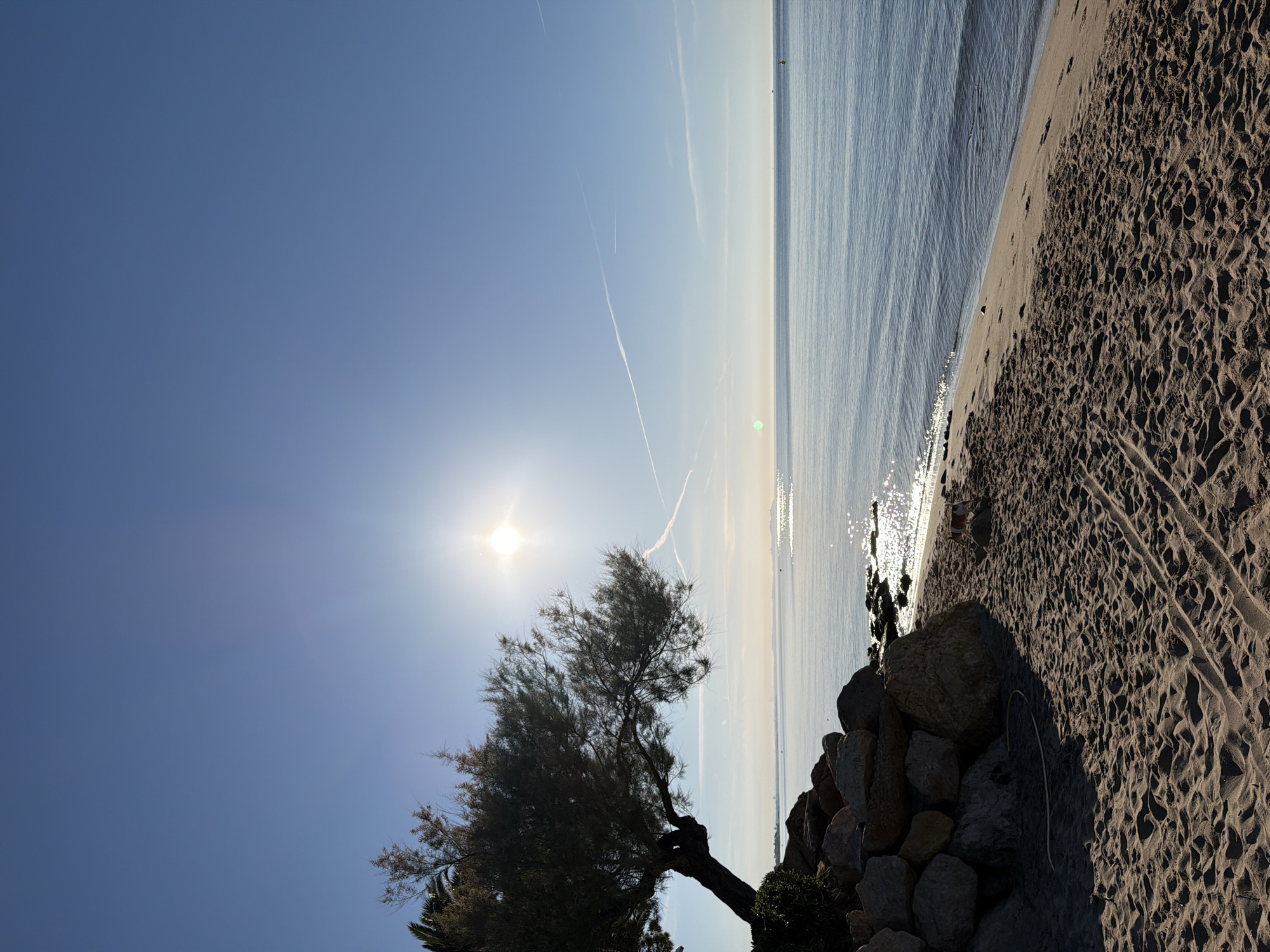 The image shows a beach scene in Mont-roig del Camp, Spain, with a tree in the foreground silhouetted against the bright sun. The sky is clear blue, with contrails visible. The Mediterranean Sea stretches to the horizon, its surface reflecting the sunlight. The beach is sandy and uneven, bordered by rocks and vegetation.