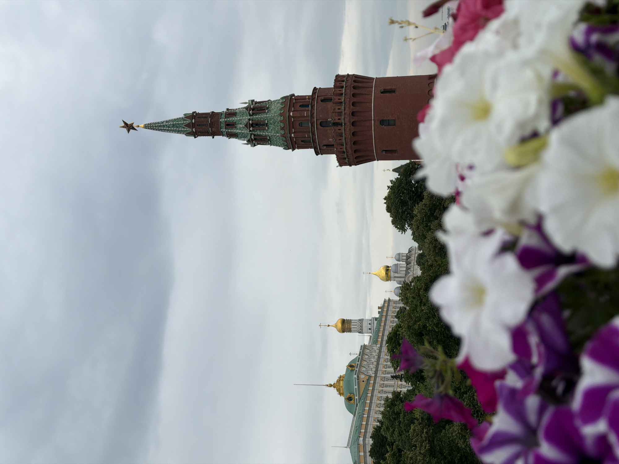 This is a media file depicting a view of the Kremlin in Moscow, Russia. The main subject is a tall, red brick tower with a green, spire-like roof topped with a golden star. This tower is the Spasskaya Tower. In the background, other Kremlin structures are visible, including domes of cathedrals and part of a palace with green roofs. The scene is framed by a foreground of colorful flowers, primarily white and purple petunias, which are out of focus and partially obscure the view of the Kremlin. The sky is overcast with gray clouds, suggesting a cloudy day. The orientation of the image is rotated 90 degrees clockwise, so the spire of the tower points towards the left of the frame. No people are visible, and no specific activity or event is apparent. The focus is on the architecture of the Kremlin and the floral elements.