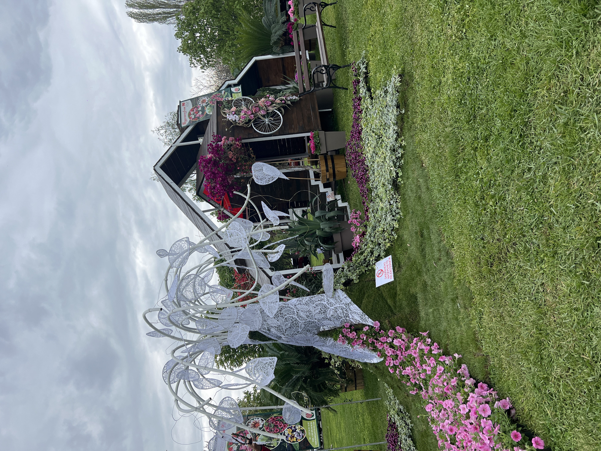 This image captures an artfully arranged outdoor garden display under an overcast sky, likely in a park or exhibition space in Burgas, Bulgaria.
The central feature is a rustic, dark-wood cabin-like structure with a sloped roof, situated on a lush green lawn. Adorning its facade is a vintage-style bicycle, its front basket overflowing with pink and white flowers. Vibrant purple flowers also hang in baskets near the cabin's entrance. To the right of the cabin, a dark wooden bench with black metal supports offers a place for repose.
In the foreground, a large, intricate white sculpture dominates the left side of the frame. It resembles an abstract tree or plant, crafted from delicate, lace-like patterns forming numerous leaf-like elements. Along the base of this sculpture, a bed of bright pink petunias adds a splash of color. Nearby, beds of purple flowers and variegated green-and-white ground cover further enhance the landscape design. The ground is primarily covered in neatly manicured green grass.
Several signs provide context. A prominent white sign with red text near the white sculpture clearly states "ЗАБРАНЕНО КАТЕРЕНЕТО ПО ЕКСПОНАТА," which translates from Bulgarian as "Climbing on the exhibit is FORBIDDEN." On the roof of the wooden cabin, a sign reads "ФОРУМ на градината" ("Garden Forum"), accompanied by floral images. A partially visible banner behind the white sculpture displays various flower types, contact information ("mob. +359 888 64 84 84"), and a website address ("www.jcvplants.com").
The weather is overcast, with a soft, diffused light, indicating a daytime scene. No people are visible, allowing the focus to remain on the serene and decorative botanical arrangement. The overall atmosphere is one of beauty and tranquility in a well-curated public space.