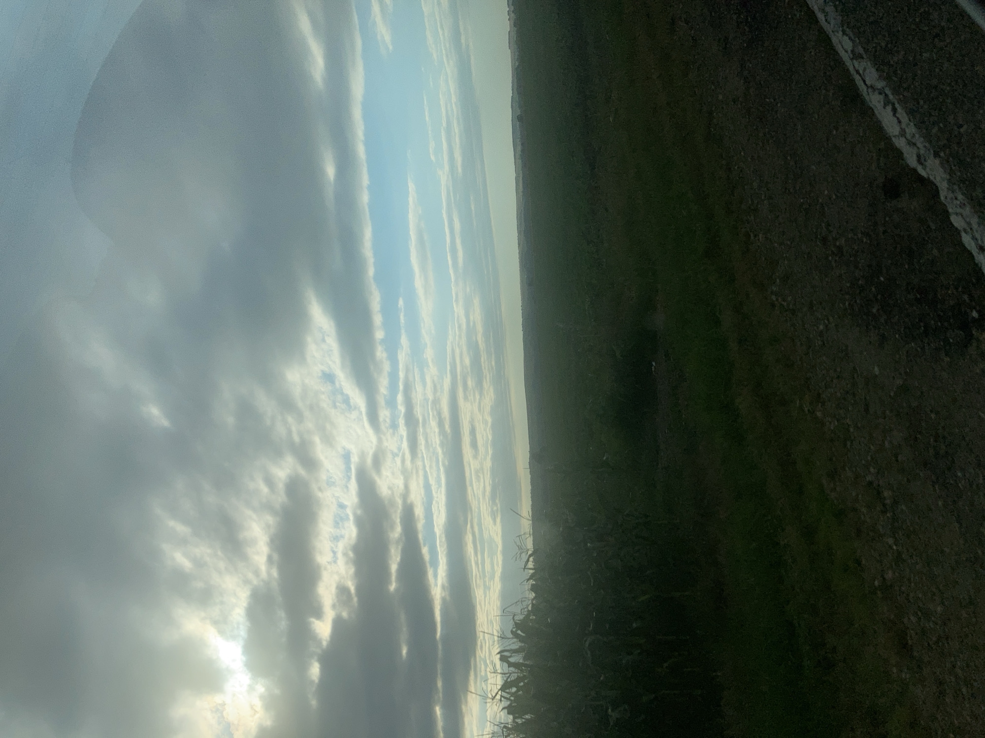 The image shows a vast, open landscape under a dramatic sky. In the foreground, on the left, is a dense field of tall green crops, likely corn, with their stalks and leaves clearly visible. To the right of the crop field is a rough, gravelly surface that appears to be a road or path, with a concrete barrier at the bottom edge of the frame. Beyond the crop field, the land stretches out into a dark green expanse, suggesting more agricultural land or open fields. The horizon is low and indistinct, with a hazy line where the land meets the sky.
The sky is a dominant feature of the image, filled with a mix of heavy, gray clouds and patches of bright blue sky. Sunlight breaks through in the upper left, creating a luminous effect behind the clouds. The overall lighting suggests either early morning or late afternoon. There is a faint, dark, mountain-like shape visible in the upper right portion of the sky, partially obscured by clouds.
There are no people, animals, or specific man-made structures readily identifiable in the landscape. The scene depicts a rural, agricultural environment. The specific location in the city of Khodz', Russia, cannot be determined from the visual information provided in the image itself.