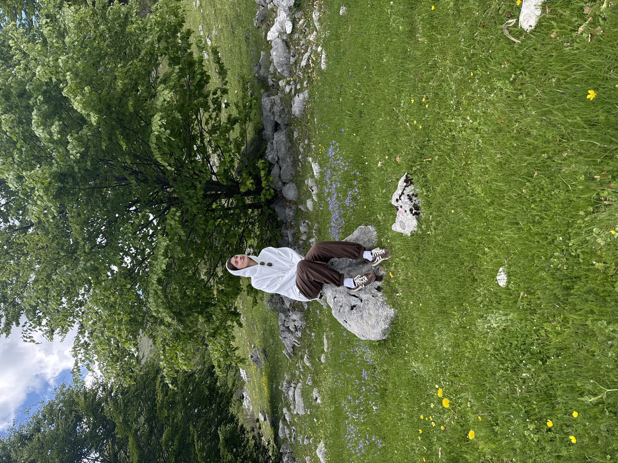 A person is sitting on a rock in a grassy field in Brskut, Montenegro. The person is wearing a white hoodie and brown pants. There are trees and rocks surrounding the field, with yellow and blue wildflowers scattered around. The weather appears sunny with some clouds in the sky.