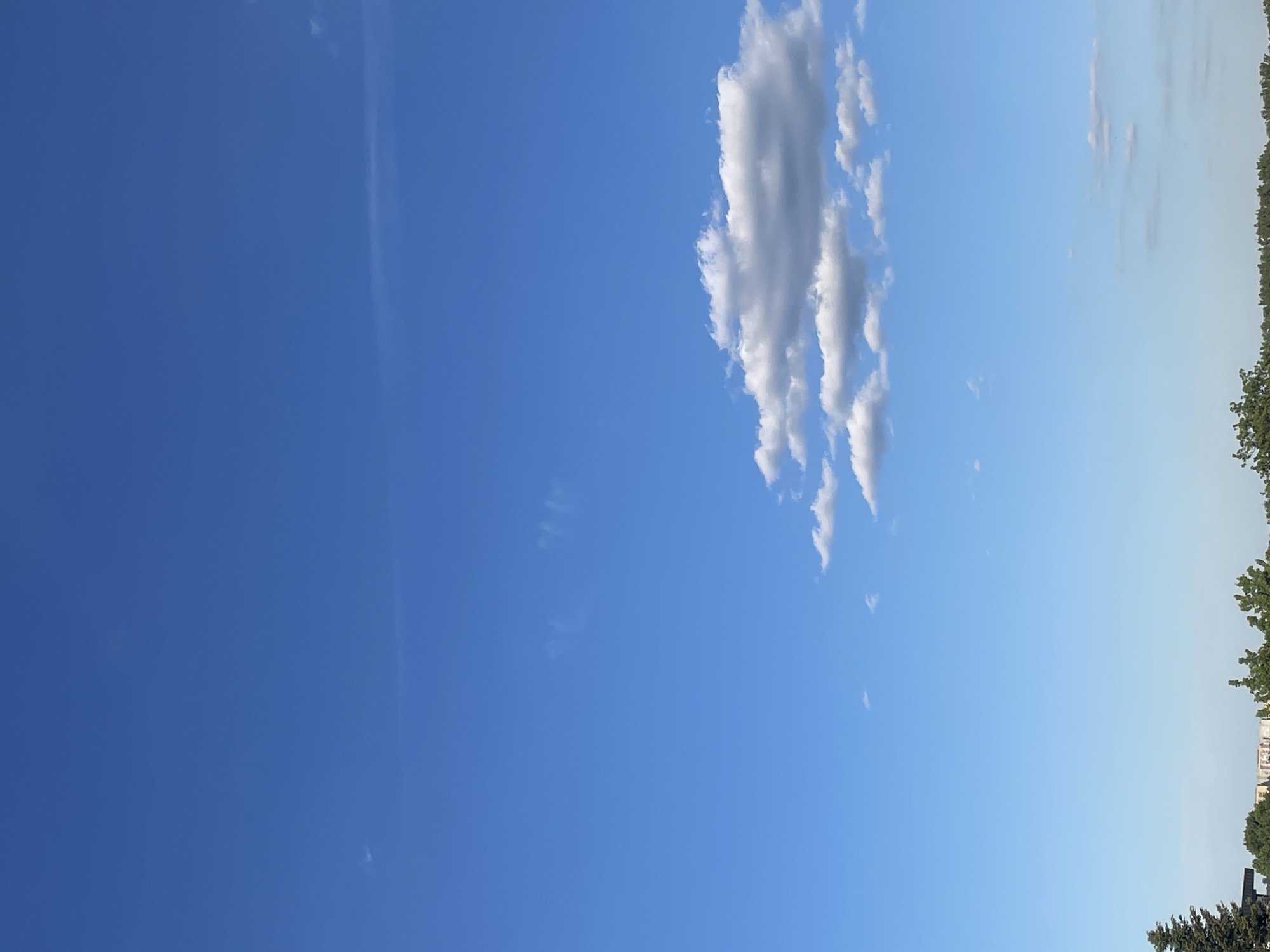 The image is a horizontal view of a blue sky with a puffy white cloud in the upper center. A thin contrail is visible in the upper left quadrant. In the upper right corner, trees and distant buildings are visible. The location is presumably in an urban area, judging by the buildings, but the specific city is unknown. There are no people visible in the image.