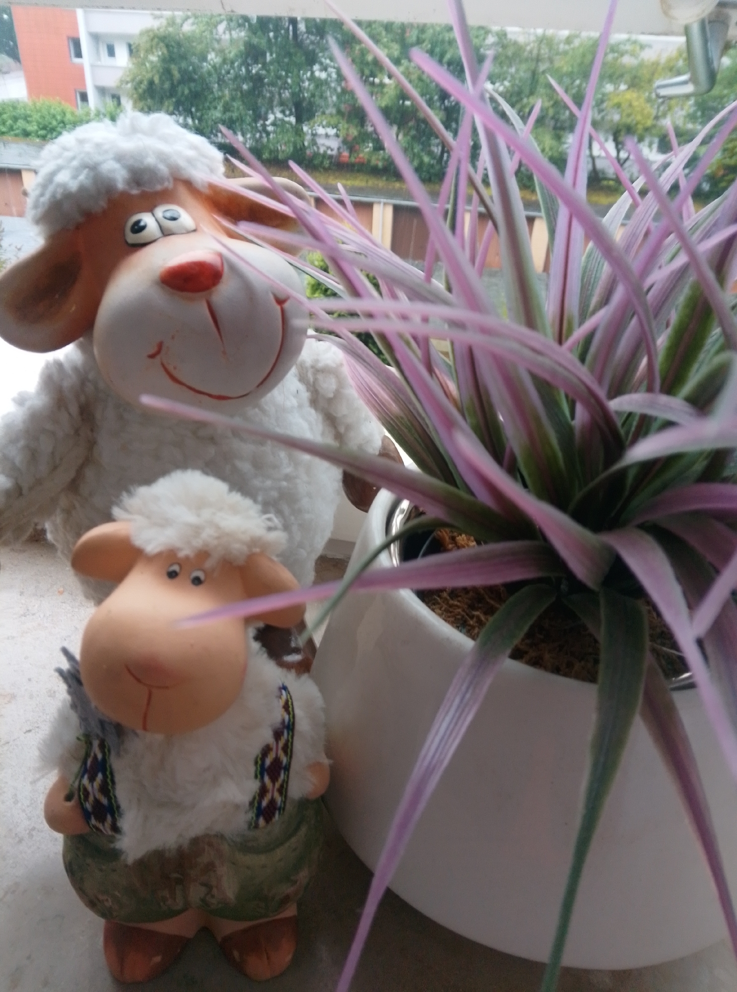 The image shows two decorative sheep figurines and a potted plant. The larger sheep, to the left, is white and fluffy with a cartoonish face. The smaller sheep, in the foreground, is also white and fluffy, wearing a decorative vest and green pants. The plant, in a white pot, has long, slender leaves with pink and green coloration. In the background, there is a building with orange and white elements, trees, and a cloudy sky. The scene appears to be on a balcony or windowsill, possibly in Wedel, Germany, given the architecture and foliage.