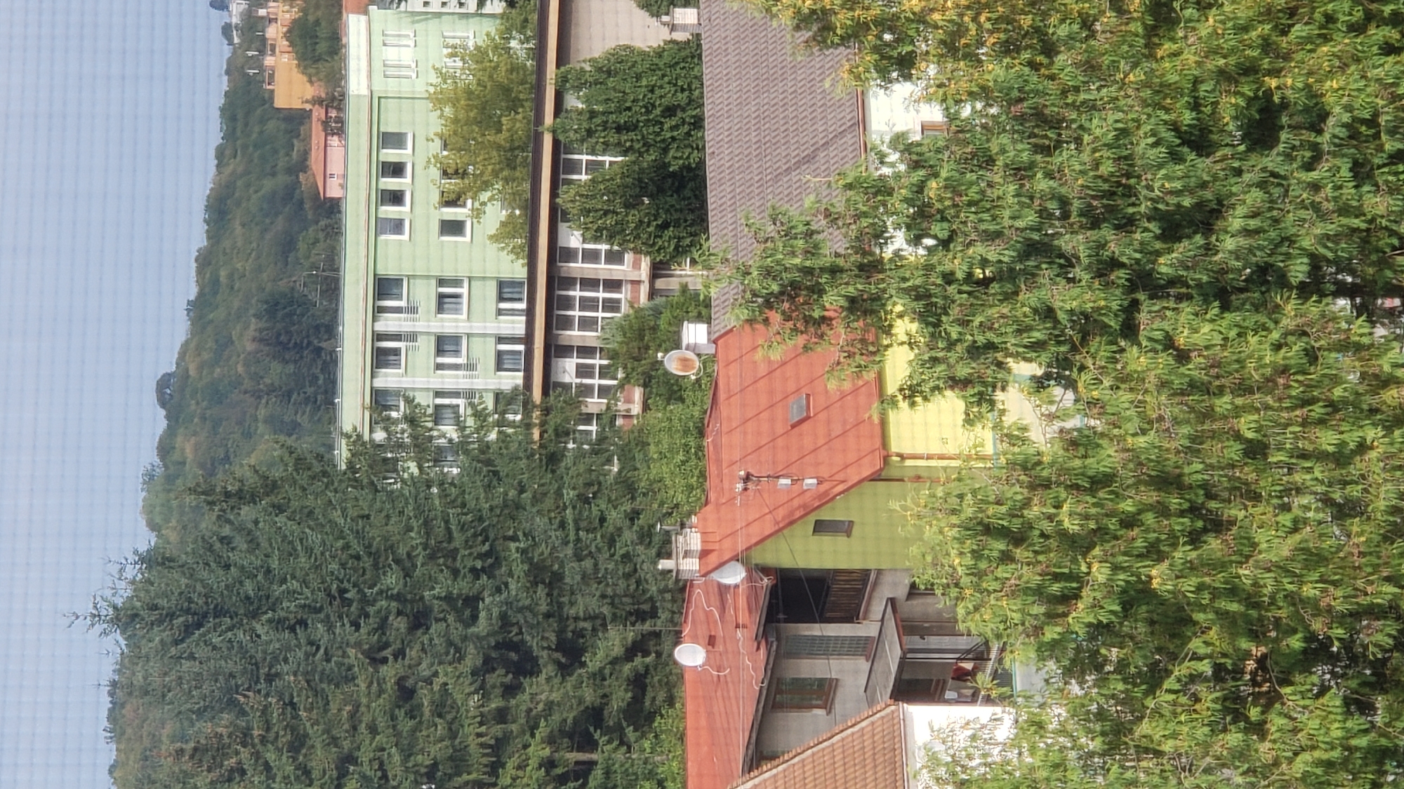 This is a medium-distance, eye-level, slightly elevated shot of a residential area in Prešov, Slovakia, likely taken on a clear day. In the foreground, a cluster of trees with dense, green foliage partially obscures the view of several houses with red and grey tiled roofs. These houses appear to be older, with visible chimneys and satellite dishes. Behind the foreground houses, a larger, light green building with multiple floors and numerous windows is visible. This building is situated on a slope, with a treed hillside in the background. The overall impression is one of a well-established, somewhat urbanized neighborhood surrounded by natural greenery.