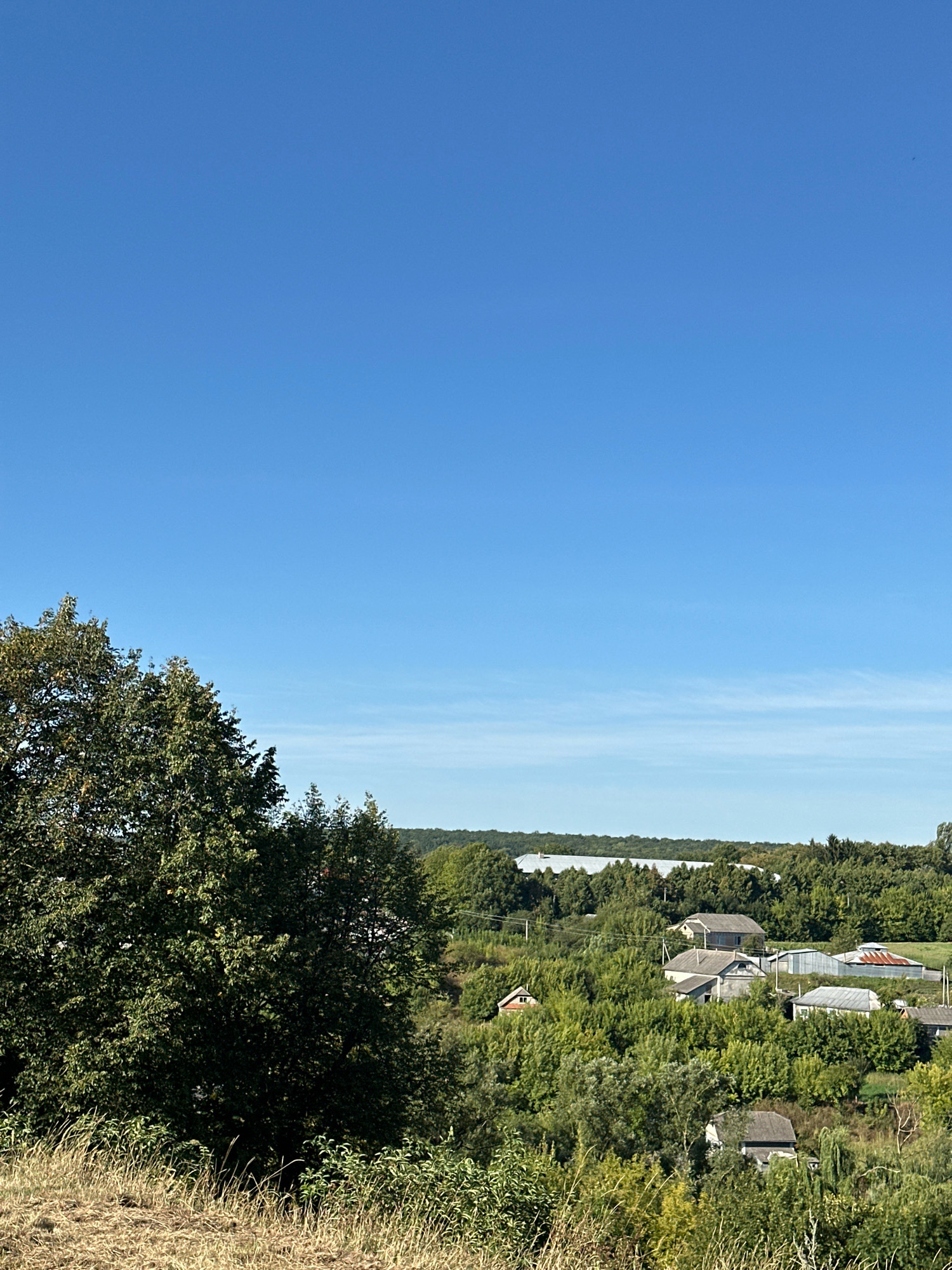 The image shows a rural landscape with a clear blue sky. In the foreground, there is dry grass and foliage. To the left, a large, dark green tree dominates the scene. Beyond this, a cluster of buildings, likely houses and agricultural structures, are nestled among lush green trees and vegetation. The buildings have grey roofs, and some have white or light-colored walls. In the distance, a body of water or a large open area can be seen, bordered by trees and a gentle slope of hills. The overall impression is of a quiet, sunny day in a village setting. This scene is situated in the village of Makiv, Ukraine, characterized by its rural architecture and abundant greenery.