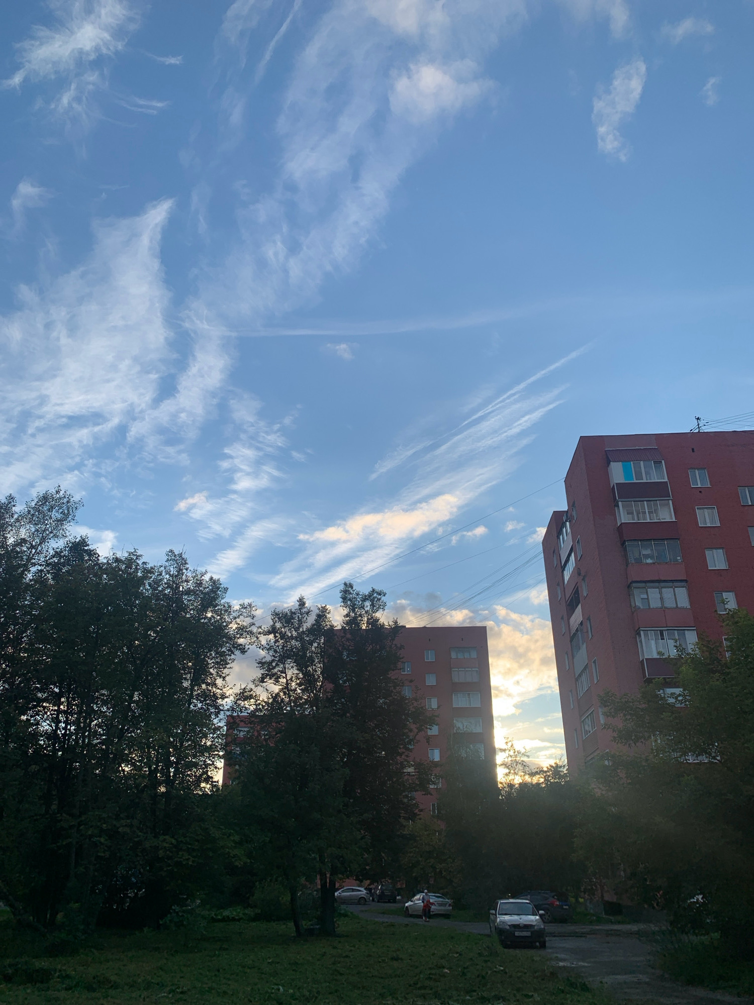 This image depicts a scene in the city of Prokopyevsk, Russia, featuring a residential area under a partly cloudy sky at dusk. The foreground consists of a grassy area with some scattered fallen leaves, leading to a paved path or road. Several dark green trees with dense foliage are prominent, obscuring parts of the background.
Dominating the right side of the frame are two multi-story brick apartment buildings. The building on the right is taller and appears to be made of red brick, with numerous windows and balconies. A bright blue object, possibly a curtain or blind, is visible in one of the upper windows. The building on the left is shorter and also constructed of brick.
Parked cars are visible on the paved area between the trees and the buildings, including a dark sedan and a lighter-colored car. The sky is a vibrant blue with wispy white clouds, some of which are illuminated by the setting sun, creating a warm glow towards the horizon. Power lines are strung across the upper portion of the image. The overall impression is of a typical urban evening in a residential district.