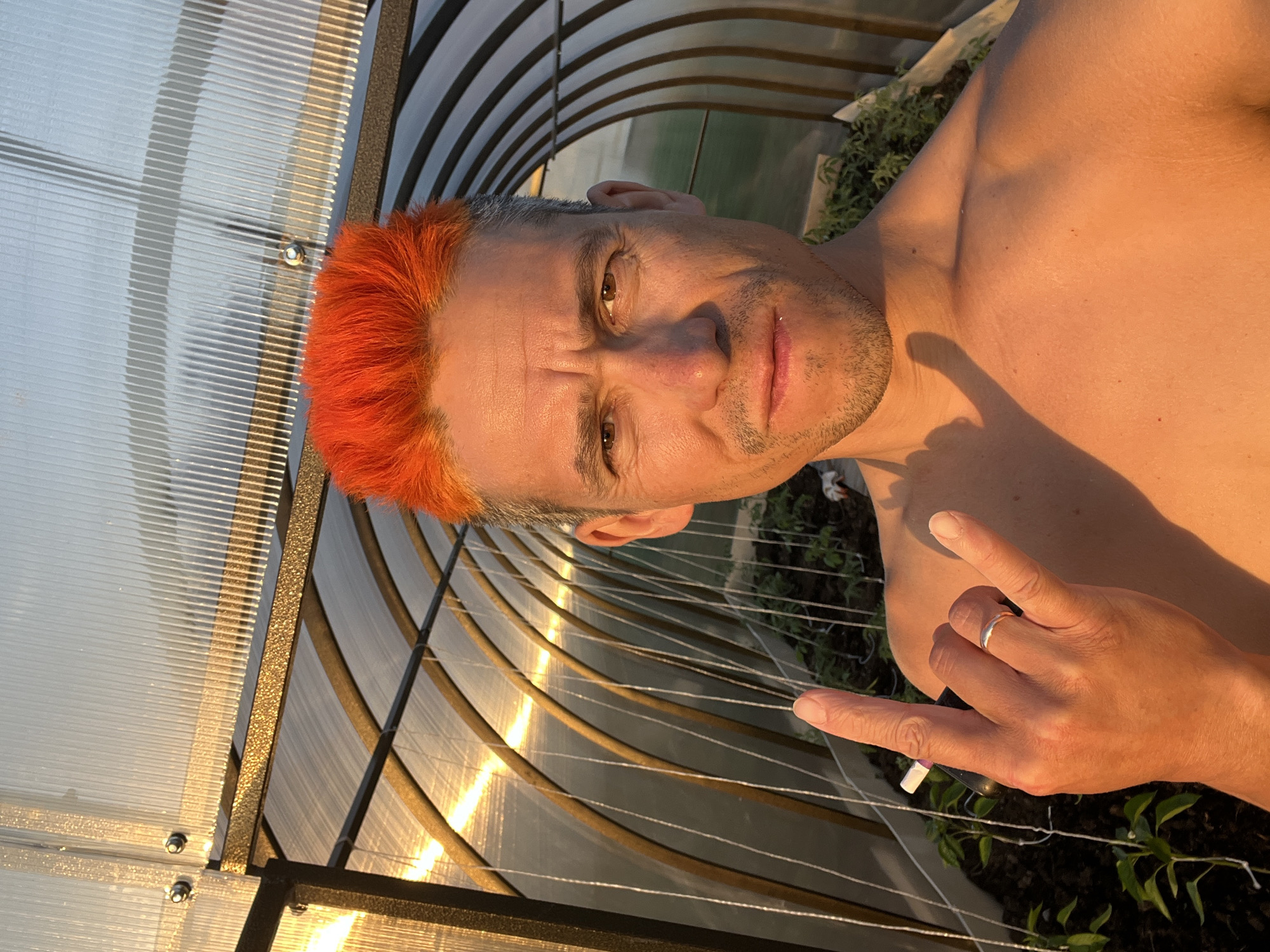 The image depicts a topless man inside what appears to be a greenhouse. The man has short, orange hair and is wearing a ring on his finger. He is pointing into the greenhouse with his right hand. The greenhouse has a metal frame and transparent walls, possibly polycarbonate. There is vegetation visible inside the greenhouse. The exact location in Chaikovsky, Russia, cannot be determined from the image.