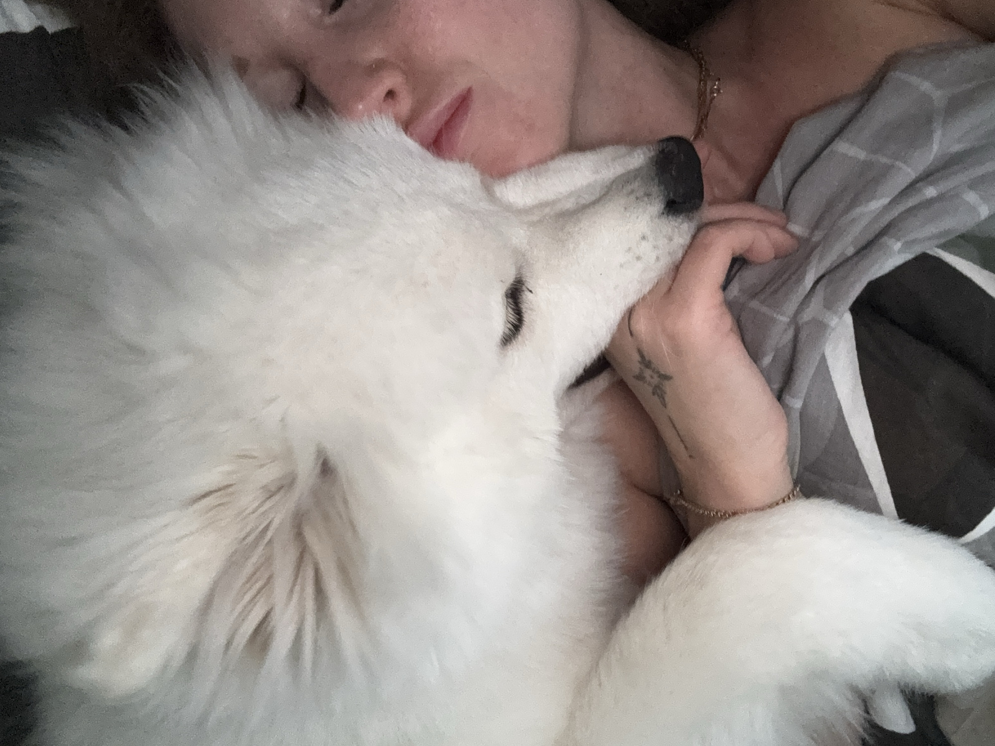 A woman is lying in bed with a white dog. The dog's head is resting on her arm, and the woman's face is close to the dog's. The woman has red hair, fair skin, and her eyes are closed. The dog is white and fluffy. The background is a bed with gray and black bedding. The woman has a tattoo on her left arm. The location of the image is unknown, with no supporting evidence to suggest its Chaikovsky, Russia.