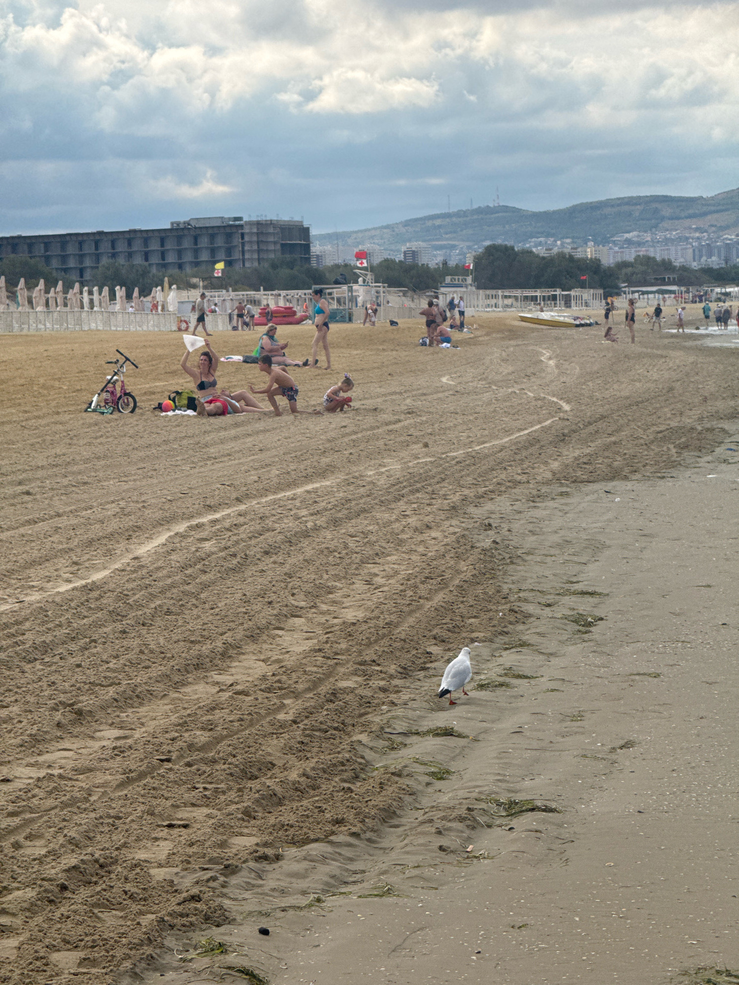 This is an eye-level, full shot of a crowded beach on a cloudy day in Anapa, Russia. In the foreground, a seagull stands on the sandy shore. The sand is marked with tire tracks and scattered with seaweed. In the mid-ground, several people are relaxing and playing on the beach. Some are lying on towels, while others are sitting or playing with a small child and a scooter. Further in the background, a large, unfinished hotel building is visible, with rows of white beach umbrellas in front of it. Beyond the hotel, a city skyline and hills can be seen under a cloudy sky.