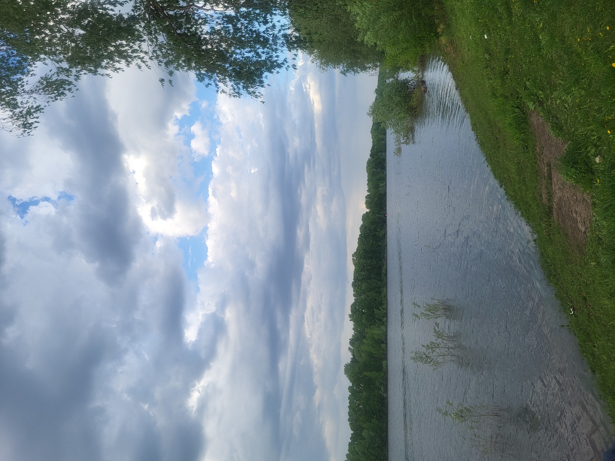 The image shows a lake or wide river in Chaikovsky, Russia, bordering a treeline and grassy bank. The sky is partially cloudy, with some blue patches. The water is slightly rippled, with some vegetation partially submerged. The photo appears to be taken at ground level.
