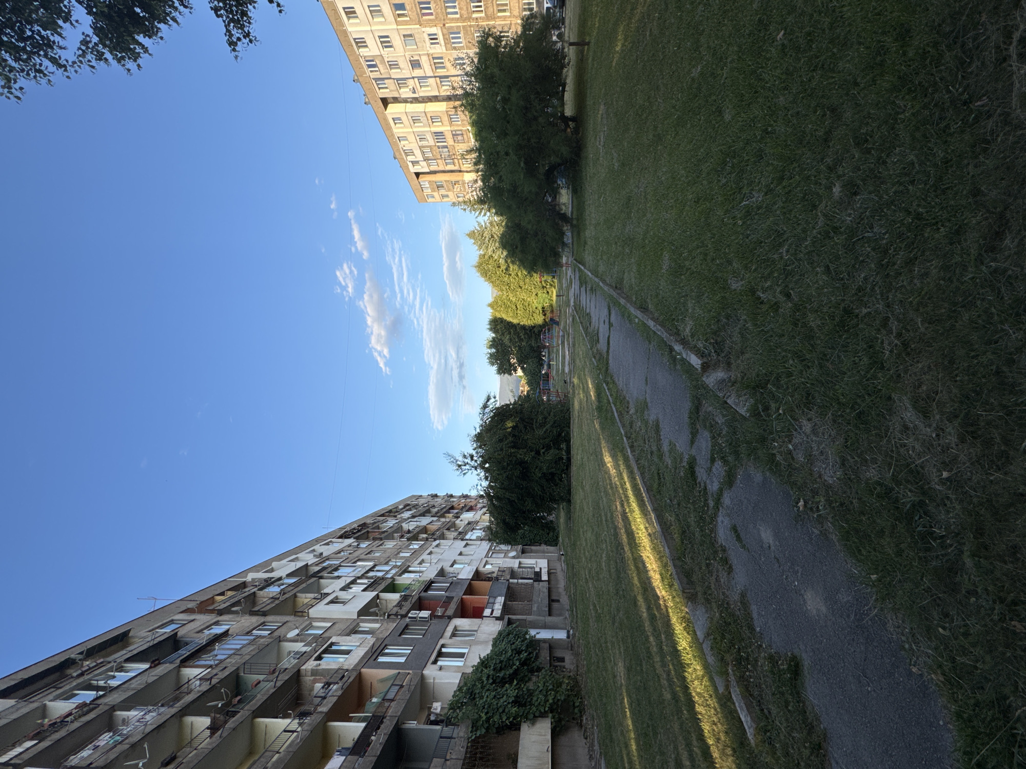 A vertical, eye-level shot captures a residential area in Pernik, Bulgaria, featuring two apartment buildings and a grassy courtyard. The building on the left is a multi-story structure with a dark, weathered facade. Its balconies are lined with railings, some of which have been adorned with climbing vines. The building on the right is lighter in color, also multi-story, with a uniform grid of windows and balconies.
The foreground is dominated by a patch of green grass, unevenly mowed, with a cracked concrete path running through it. The path is edged by a low concrete curb. Sunlight casts long shadows across the grass and path, indicating it is late afternoon or early evening.
In the midground, several trees of varying sizes and foliage density are visible. The largest is a dense, rounded tree situated near the center of the frame. Behind it, a cluster of evergreen trees forms a backdrop. Beyond the trees, a playground with colorful structures is partially visible. The sky above is a clear, bright blue with a few scattered white clouds. The overall impression is of a somewhat worn but functional urban living space.