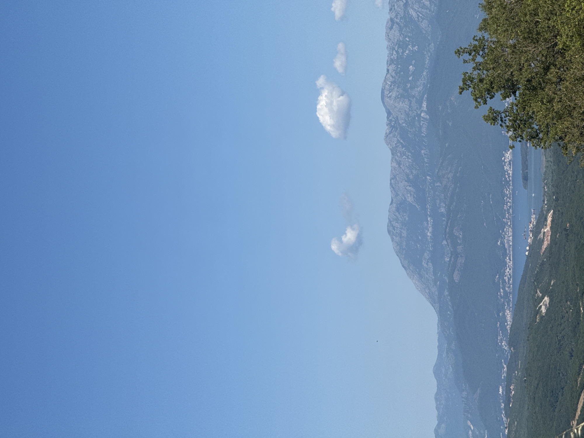 An eye-level, wide shot captures a vista of mountains, water, and foliage under a clear blue sky in Bratešići, Montenegro. In the foreground, lush green trees and bushes dominate the lower right quadrant, their leaves detailed and vibrant. Further back, rolling hills covered in dense green forests lead the eye towards a body of water that appears to be a bay or a large river. Along the distant shoreline, a town with white buildings is visible, nestled against the foothills. Dominating the background are several layers of rugged, blue-grey mountains, their rocky textures and ridges clearly defined. A few small, fluffy white clouds dot the otherwise uninterrupted expanse of the sky. The light suggests it is daytime, likely mid-morning or early afternoon, given the bright illumination and the clear visibility of the landscape. There are no people or animals visible in the frame.