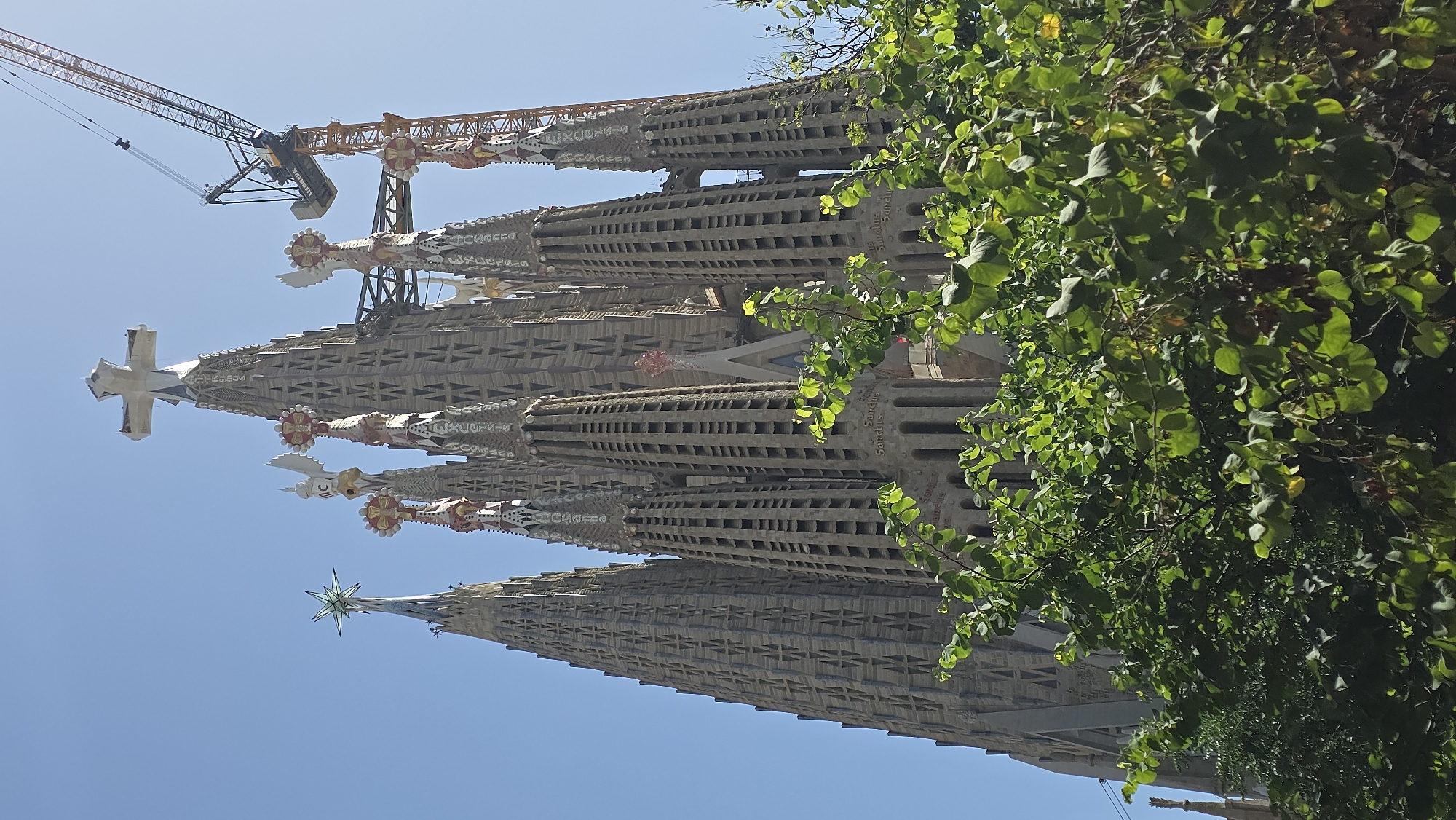 The image depicts the Sagrada Familia basilica in Barcelona, Spain. The basilica's iconic spires, characteristic of Antoni Gaudí's architectural style, are visible against a clear blue sky. One of the spires is topped with a star, while another features a large cross. A construction crane is positioned to the right of the basilica, indicating ongoing work. Lush green foliage from trees partially obscures the lower portion of the structure, suggesting the perspective is from ground level or slightly elevated. The basilica's facade exhibits intricate stone carvings and numerous windows. The overall scene suggests a bright, sunny day.