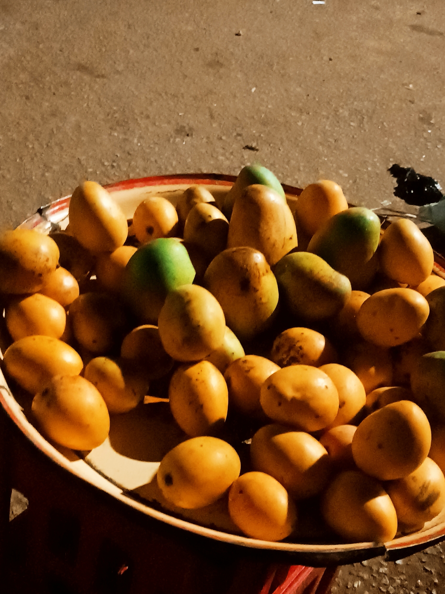 A high-angle, close-up shot features a large collection of mangoes, or similar stone fruits, piled within a round, shallow tray. The tray has a distinctive red rim and appears to be made of metal or plastic. Most of the fruits are a ripe, golden-yellow or orange color, with some showing brown blemishes, while a noticeable number are green, indicating varying stages of ripeness.
The tray is situated on a rough, earthy-toned ground surface, possibly asphalt or dirt, suggesting an outdoor setting like a market or roadside stall. A small, indistinct red object, potentially a stool or crate, is partially visible beneath the tray at the bottom left. In the upper right corner, a dark, irregularly shaped object, possibly a plastic bag, rests on the ground near the tray.
The lighting is strong and directional, casting distinct shadows and highlighting the texture and colors of the fruits. This suggests either early morning or late afternoon sunlight. There are no people visible, and no discernible text or specific location cues beyond the general outdoor setting. The image captures a simple, natural display of fresh produce.