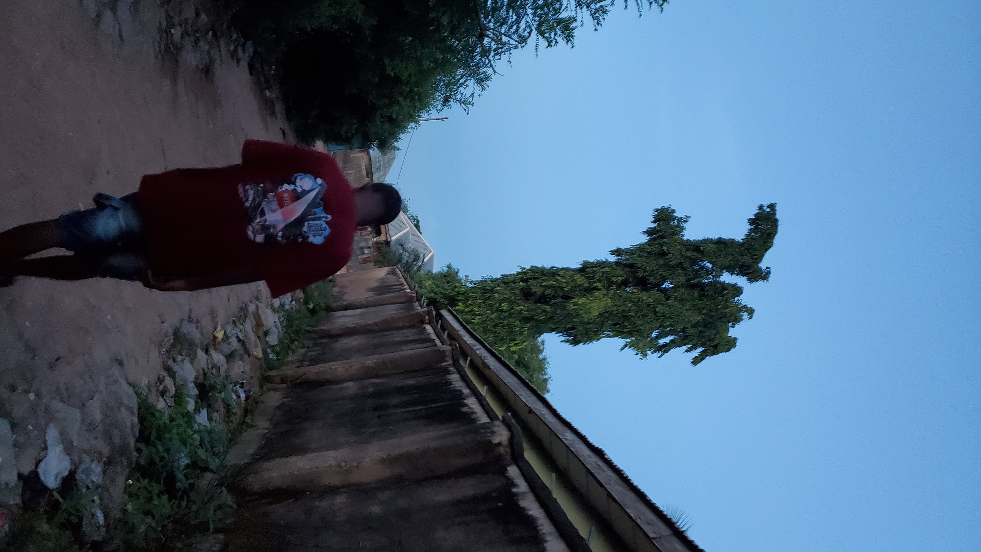 An over-the-shoulder, low-angle shot captures a person walking away from the camera down a dirt path in Jalingo, Nigeria. The individual is wearing a red t-shirt with a graphic design and denim shorts. To the right of the path, a tall, slender tree with dense foliage grows against a clear, pale blue sky. Adjacent to the tree is a long, weathered wall constructed of concrete blocks, topped with corrugated metal sheeting. Greenery and scattered debris, including plastic bags and rocks, line the base of the wall. To the left of the path, dense green foliage creates a shaded border. In the background, the roofs of buildings are visible above the greenery. The lighting suggests either early morning or late evening.