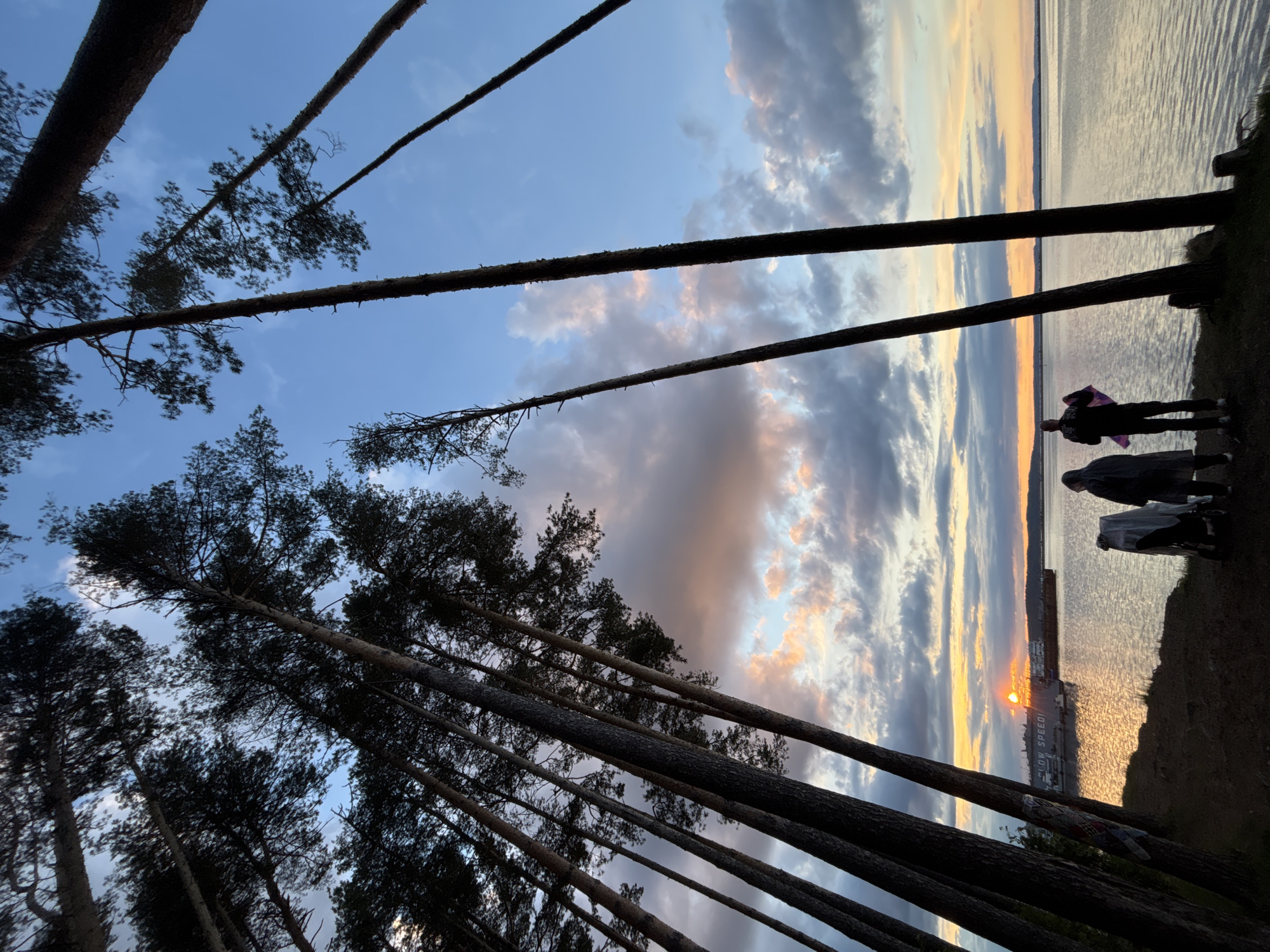 The image shows a waterside scene in Chaikovsky, Russia, captured at sunset. Tall pine trees are silhouetted against the sky and the body of water, their trunks rising diagonally across the frame. People stand on the edge, observing the sunset over the water. The sky is a mix of blue, gray, and orange hues. A large ship is visible on the water, reflecting the sunset.