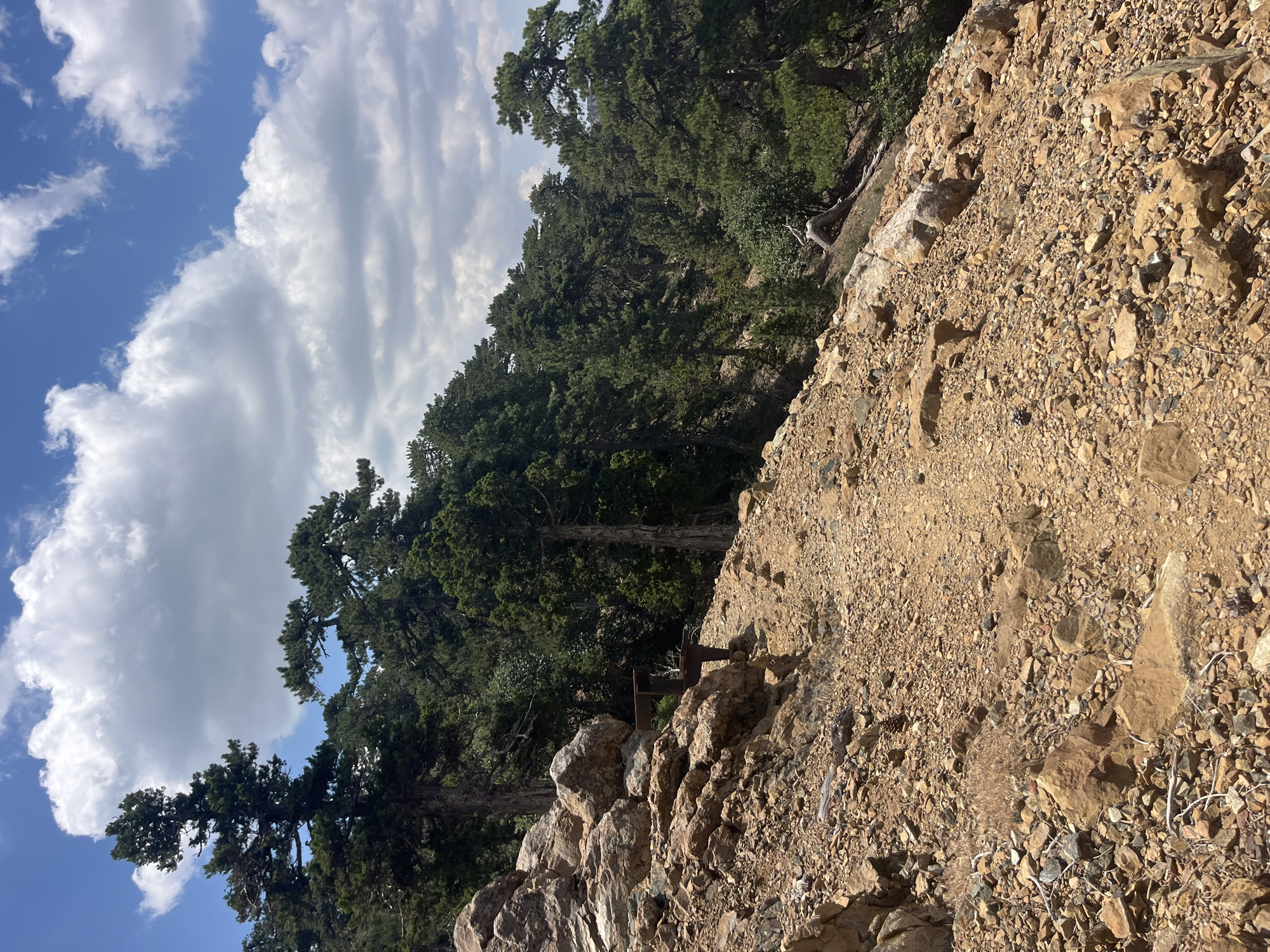 A hiking trail winds through a rocky, forested slope in Prodromos, Cyprus. The trail is made of dry, loose soil and scattered rocks, with larger boulders and rocky outcrops lining its left side. Dense evergreen trees, likely pines, cover the slope behind the trail, their dark green foliage contrasting with the lighter brown and yellow of the rocks. The sky above is blue with scattered white, fluffy clouds. In the mid-ground, near the trail, a weathered metal structure, possibly part of an old bench or signpost, is visible. The overall scene depicts a natural, outdoor environment characteristic of a mountainous region.