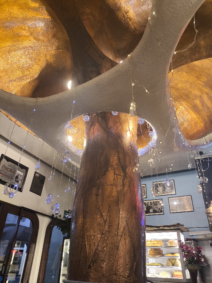 A unique interior showcases a thick, textured, tree-like pillar supporting a sculpted, cloud-like ceiling with golden-brown concave formations. Sparkling lights are strung around the pillar and ceiling edges. Behind the pillar, a bakery display case is visible, showcasing various pastries. Framed pictures hang on a light blue wall. To the left, a doorway provides a glimpse outside.