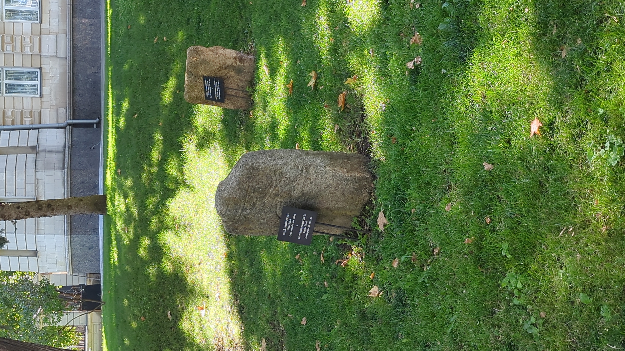 In the city of Chișinău, Moldova, a large, rough-hewn stone monument stands in a grassy area, marked with a small black plaque bearing text. To its right and further back, another similar stone monument is visible, also with a plaque. Both stones are positioned on a lawn that is partly shaded by trees, with fallen leaves scattered on the grass. In the background, a building with a white facade and arched windows is visible. The scene appears to be a historical or memorial site.