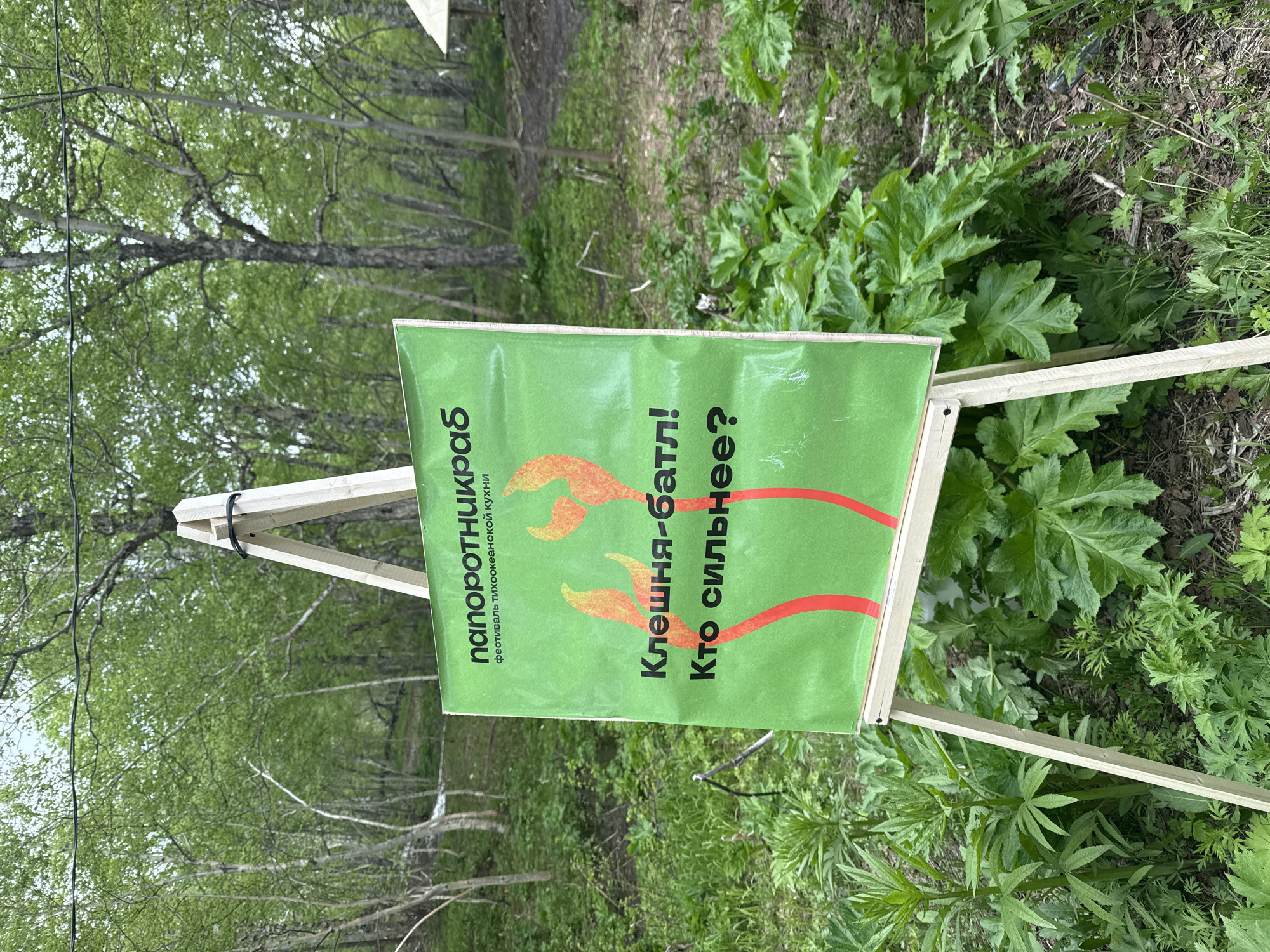 A green sign on a wooden easel displays text and graphics in Russian. The sign reads "папоротникраб" at the top, with smaller text below that says "фестиваль тихоокеанской кухни" (festival of Pacific cuisine). Below this, large text states "Клешня-батл!" (Claw battle!) followed by "Кто сильнее?" (Who is stronger?). Two orange graphic elements, resembling flames or claws, are positioned above the large text. The easel and sign are set up outdoors in a natural environment with lush green foliage and trees in the background. The location appears to be in Paratunka, Russia, as indicated by the festival's theme.