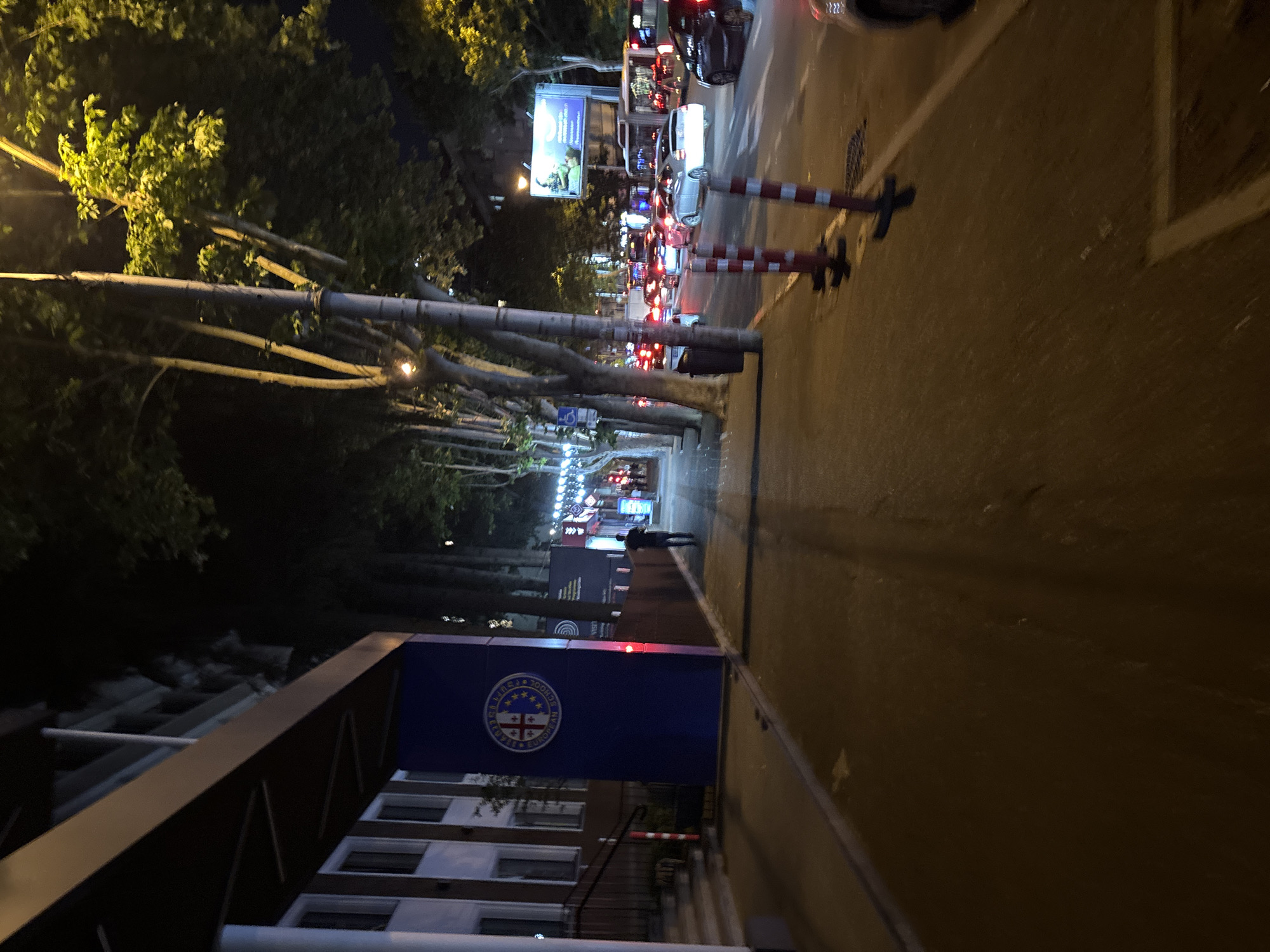 A nighttime street scene in Tbilisi, Georgia, shows a sidewalk with a large blue sign featuring the emblem of the European School on the left. A single person walks away from the camera down the sidewalk. Beyond the sidewalk, a busy street is filled with cars and a bus, their headlights and taillights illuminated. Trees line the street, with some illuminated by streetlights. Traffic cones are visible along the edge of the sidewalk. The environment appears to be urban, with buildings and street lighting visible.