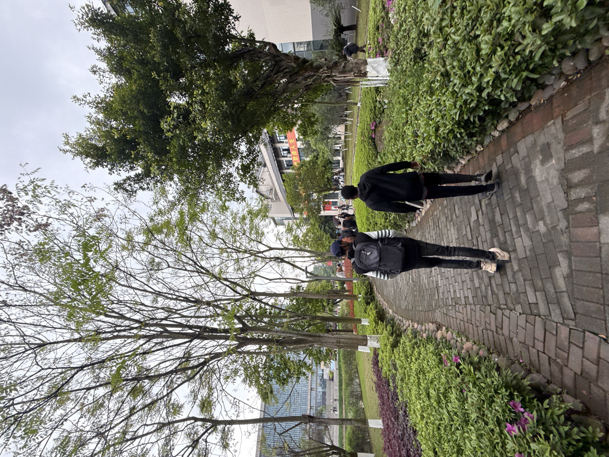 Two individuals walk along a brick path flanked by shrubs and trees in a park in Jiangjin, China. The path winds between green bushes and trees, and beyond the immediate greenery, buildings are visible. The sky is overcast. One person is wearing a black jacket and the other a striped shirt with a backpack.