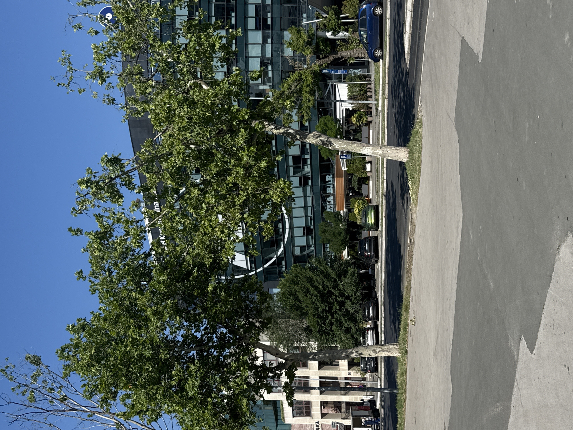 This is a medium-shot, eye-level, full outdoor photograph taken on a sunny day. The scene depicts a street in the city of Belgrade, Serbia, likely in a business district. In the foreground, there is a gray asphalt road with a lighter gray concrete sidewalk. Two large trees with green foliage are prominent in the middle ground, partially obscuring a modern glass-fronted building behind them. This building appears to be an office building or commercial establishment, with dark-tinted windows and a white circular design element visible on its facade. The lower level of the building has storefronts, including one labeled "PIZZA BAR". Several cars are parked along the street in front of the building, and a blue hatchback is seen driving on the road. The sky is clear and bright blue.
