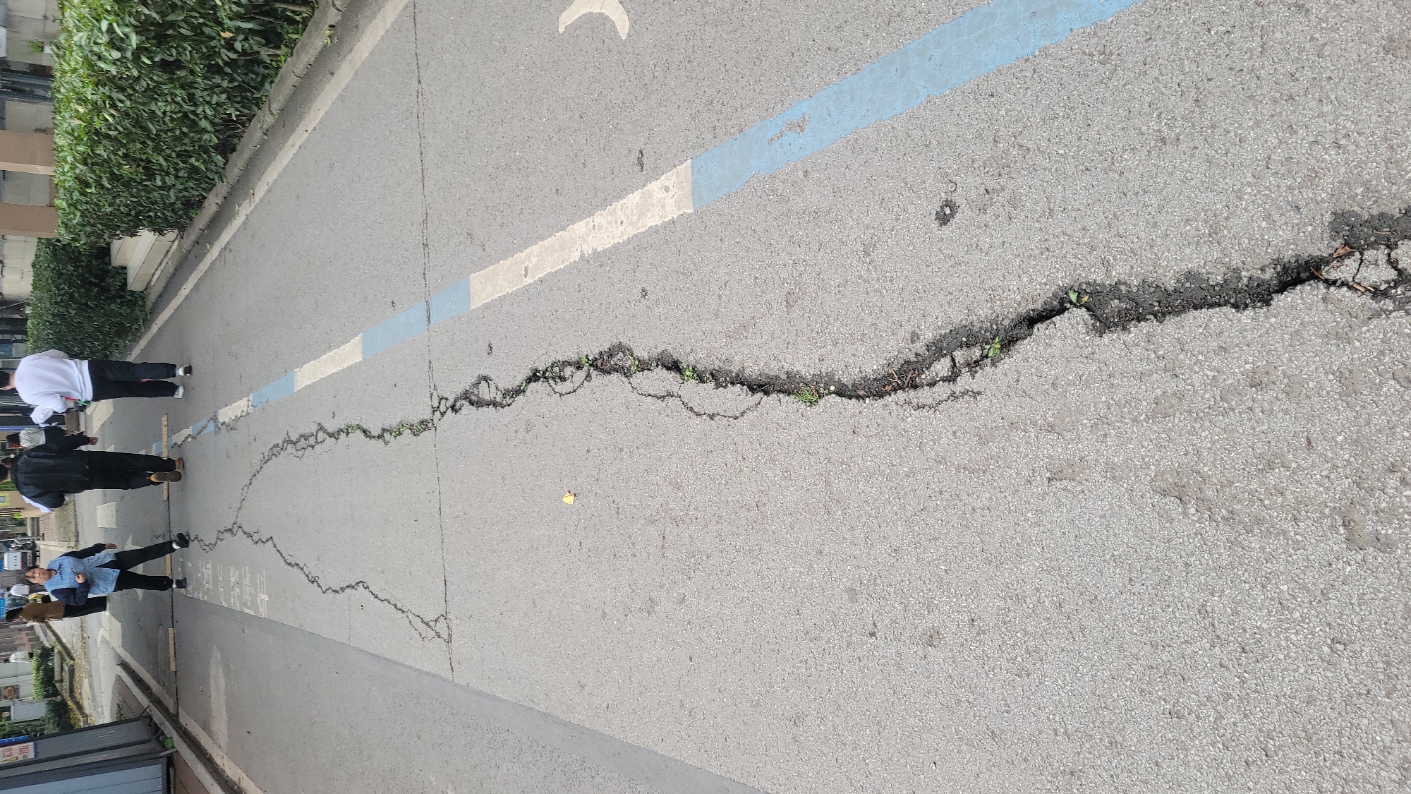 The image shows a cracked asphalt surface on a street in an unknown city, unknown location. A long, winding crack runs across the street, with small plants growing out of the crack in places. There is a blue and white painted line running parallel to the crack. The edge of a building and greenery are visible on the left. Several people are walking on the left side of the road.