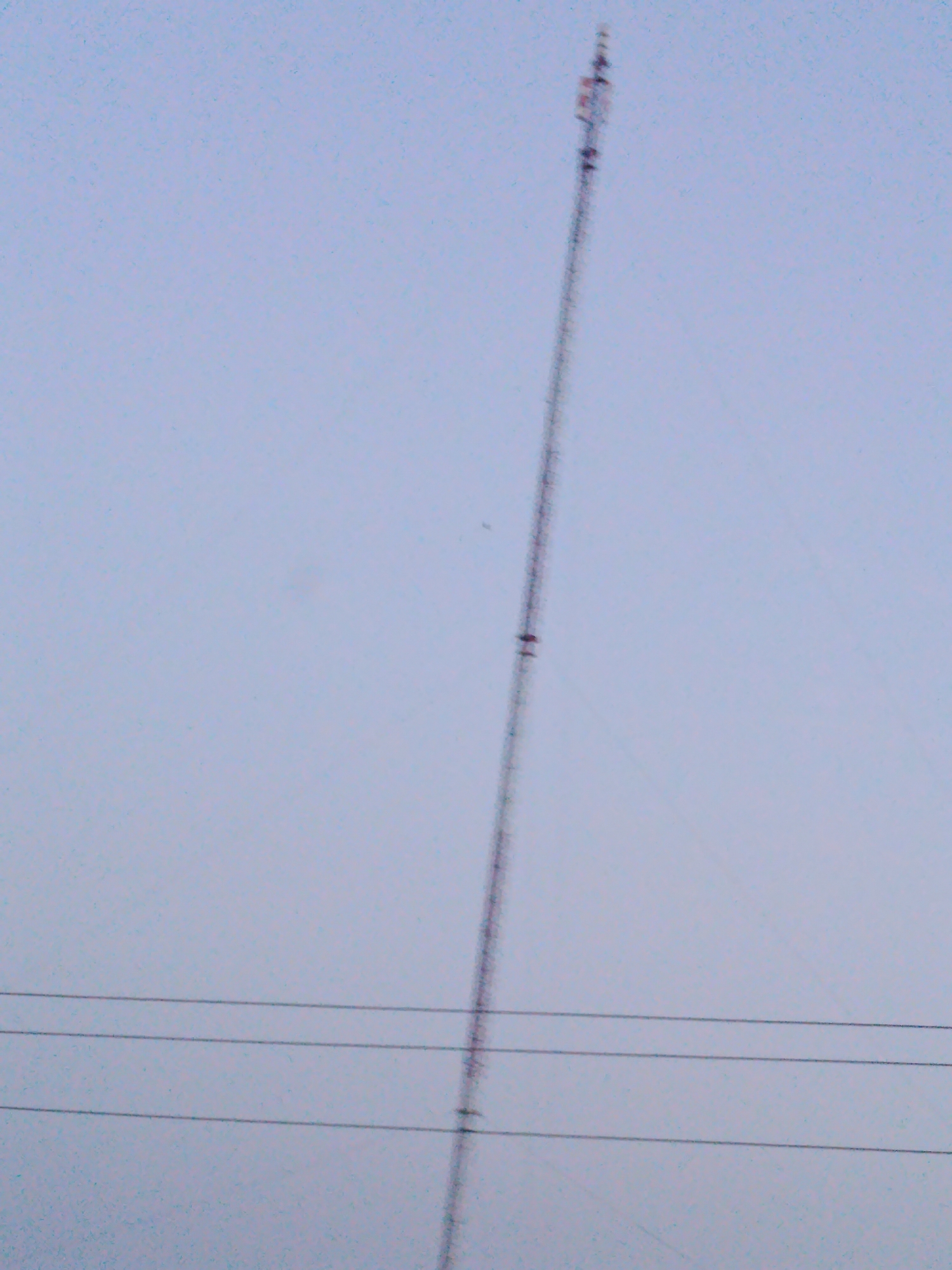 The image depicts a tall, slender lattice tower, likely a telecommunications or broadcast tower, against a pale, overcast sky. The tower is positioned vertically and occupies a significant portion of the frame. It appears to be constructed of metal struts and is quite narrow relative to its height. Along the tower's length, there are visible horizontal crossbeams and some smaller structures or antennas attached at various levels. In the lower part of the image, three parallel horizontal lines are visible, suggesting they might be power lines or overhead cables. The sky is a uniform, muted blue-grey, indicating an overcast day or possibly dusk. The environment appears to be open, with no visible buildings or ground features directly associated with the tower in this particular frame, other than the implied presence of the power lines. No people or animals are discernible in the image. There is no specific information in the image to identify the location as Maigizo, Nigeria.